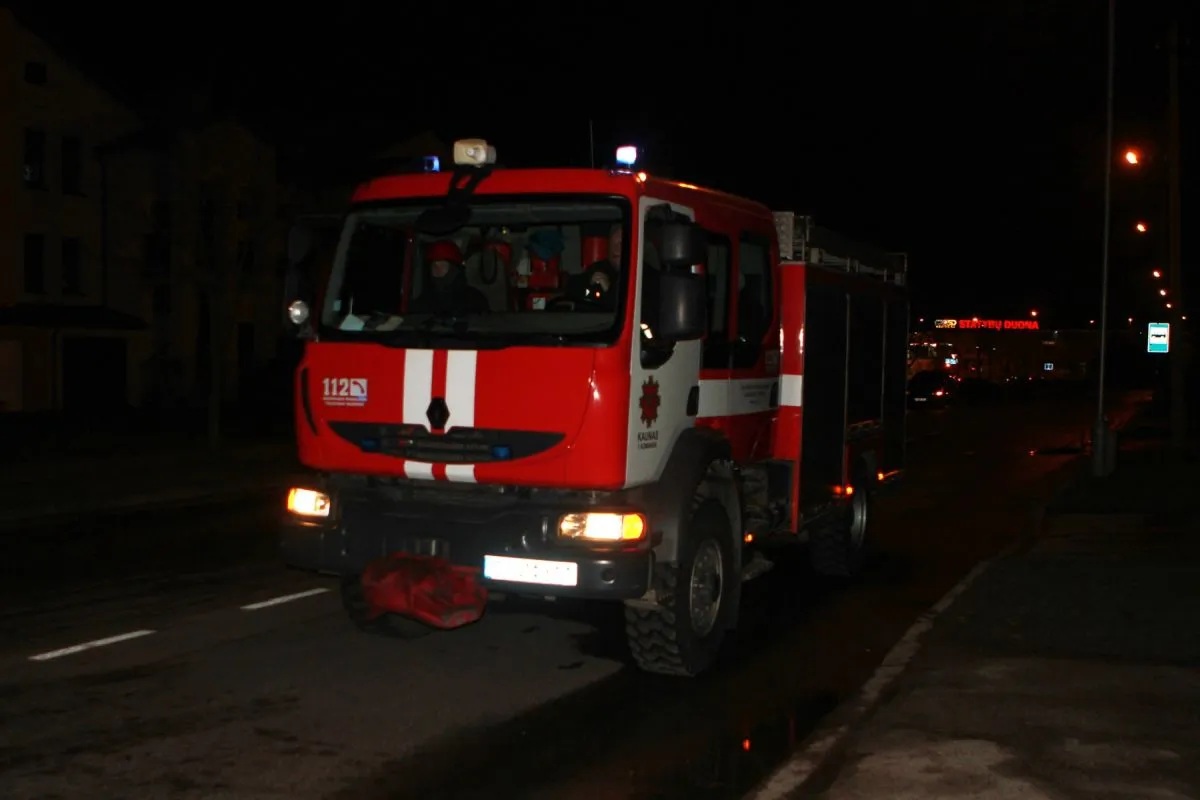 Gaisrinė, gaisras, ugniagesiai