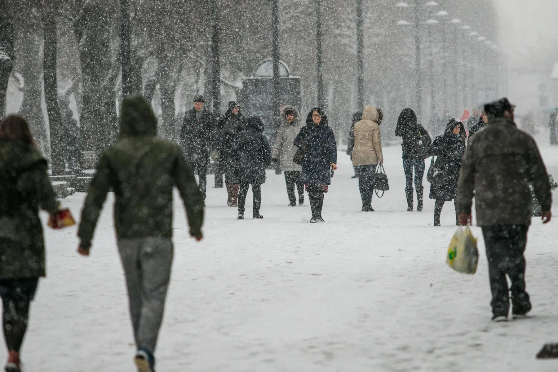 Kaune iškrito gausus sniegas