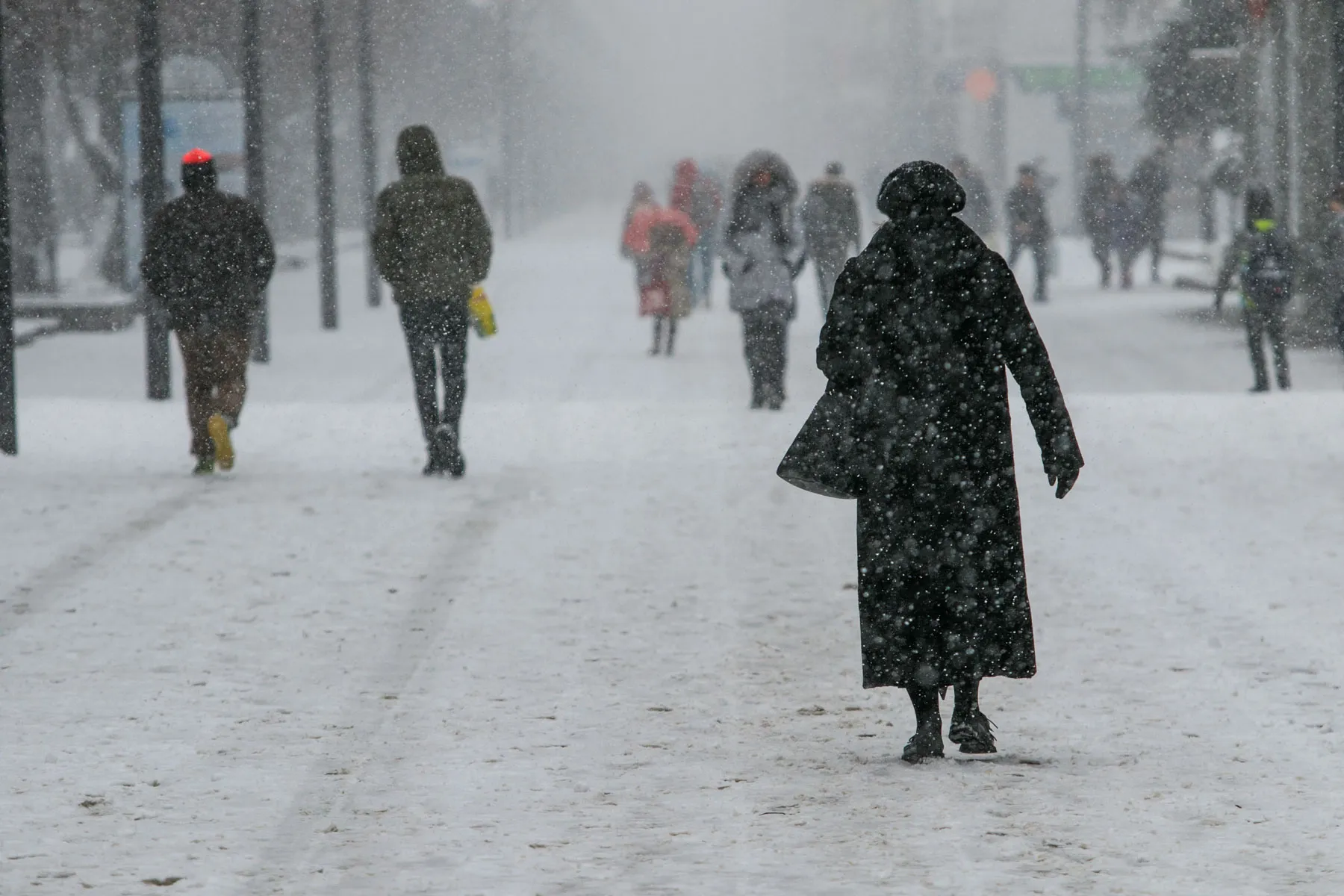 Kaune iškrito gausus sniegas