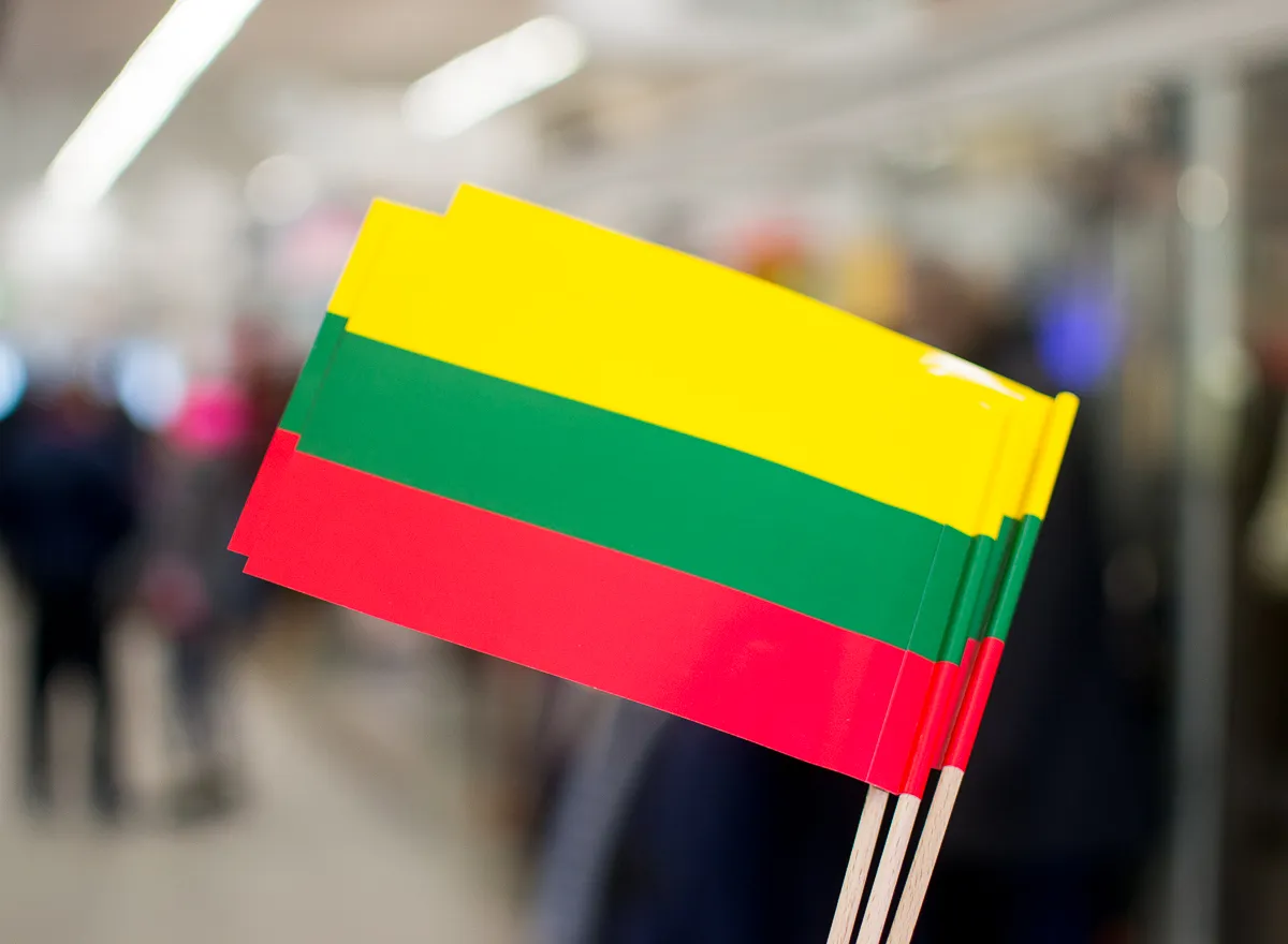 Kovo 11-oji vėliava