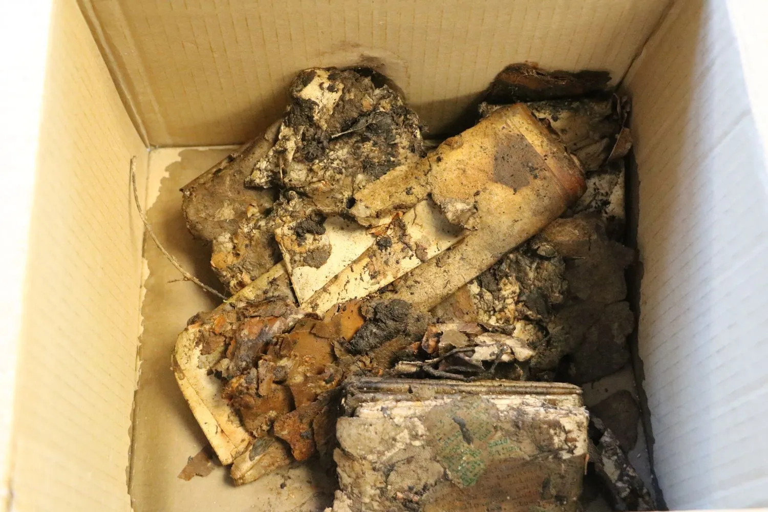 Kauno rajone rasti rankraščiai