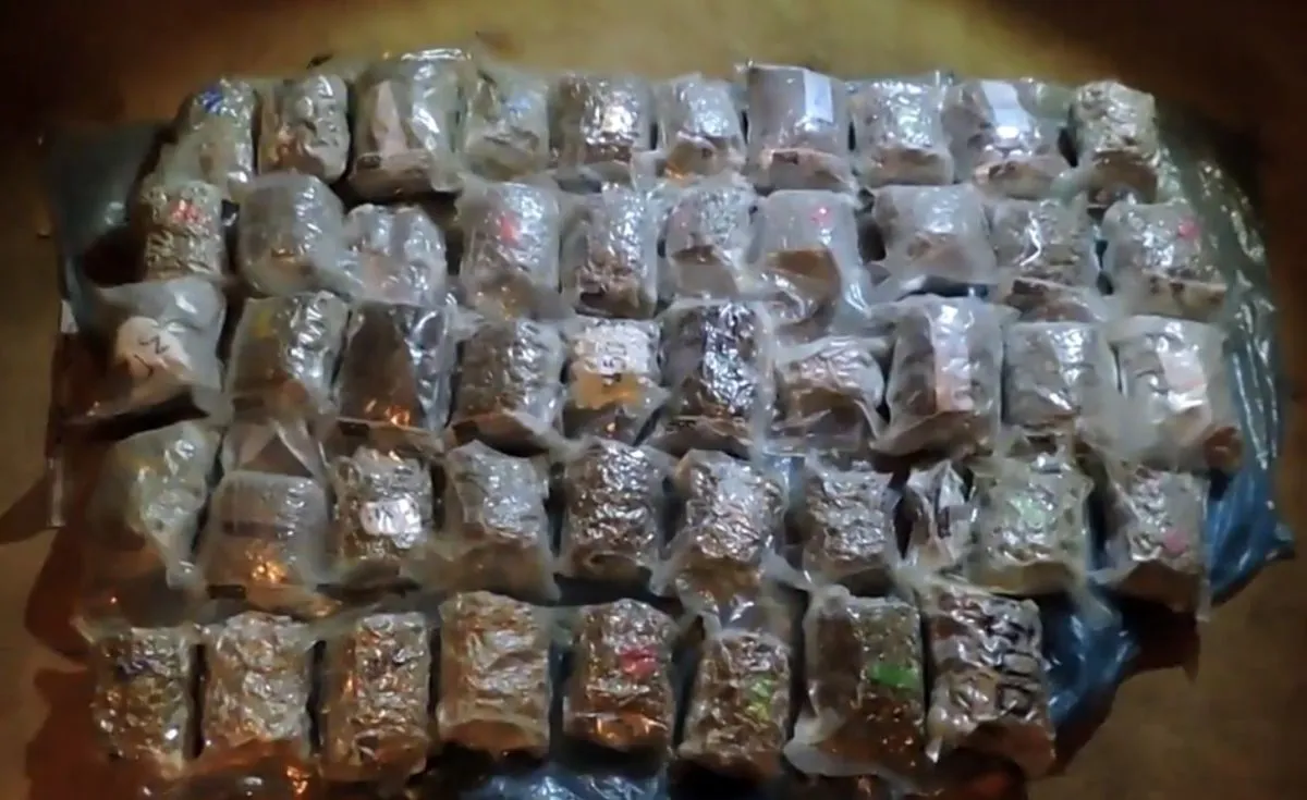 Kanapės, marihuana, žolė