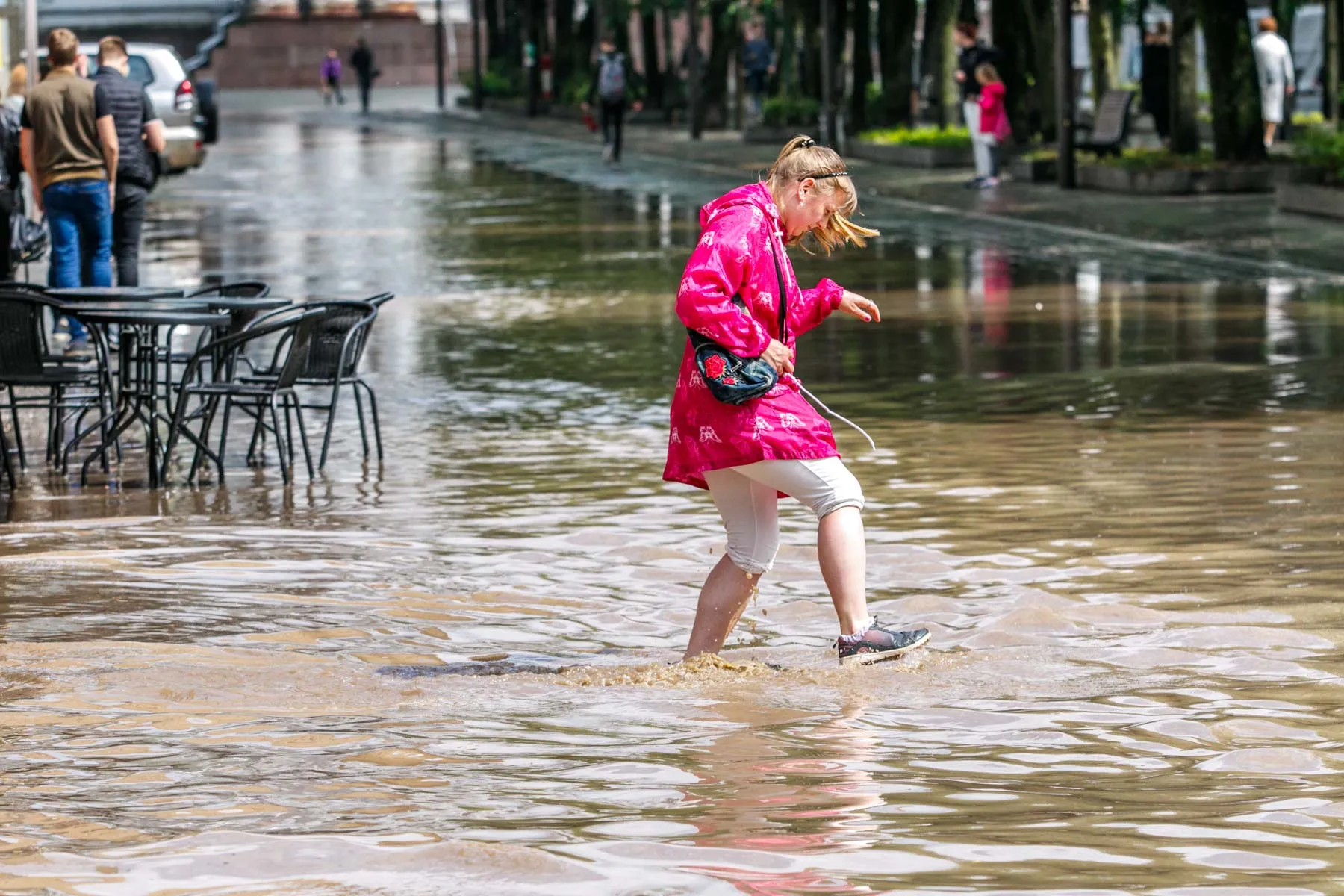 Laisvės alėja po liūtes