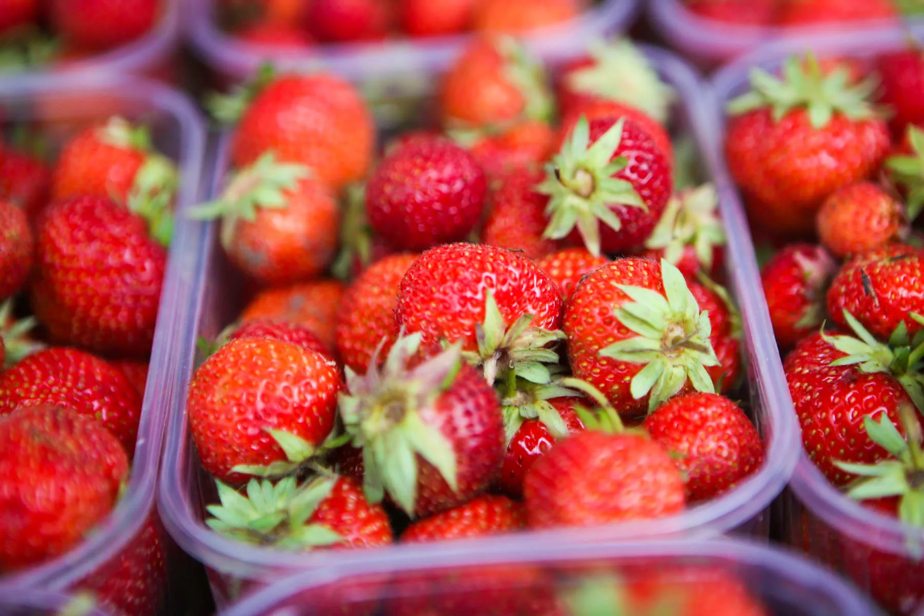 Lietuviškos braškės Kaune