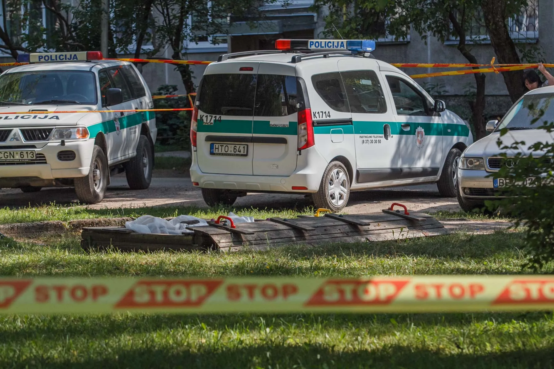 Lavonas smėlio dėžėje