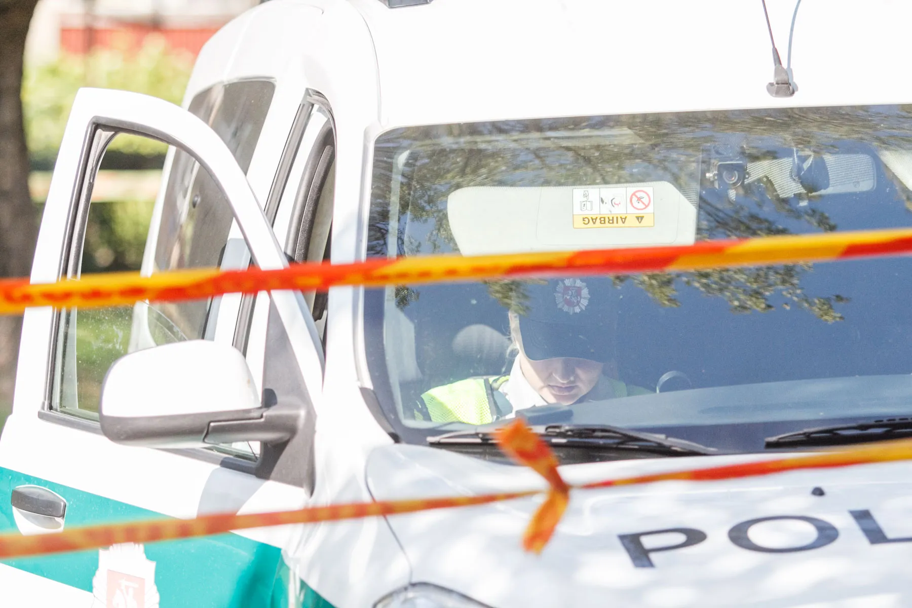 Lavonas smėlio dėžėje