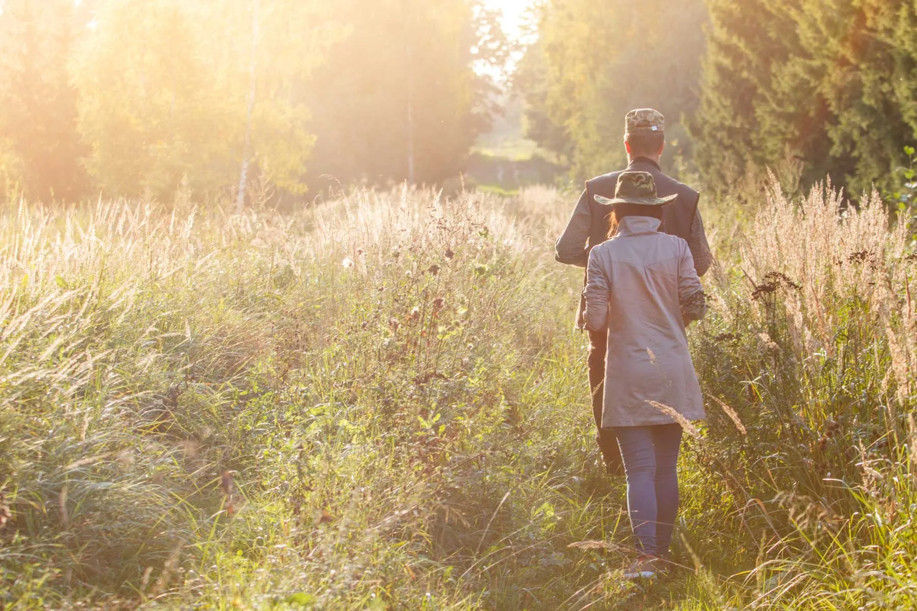 Elnių riaumojimas miške