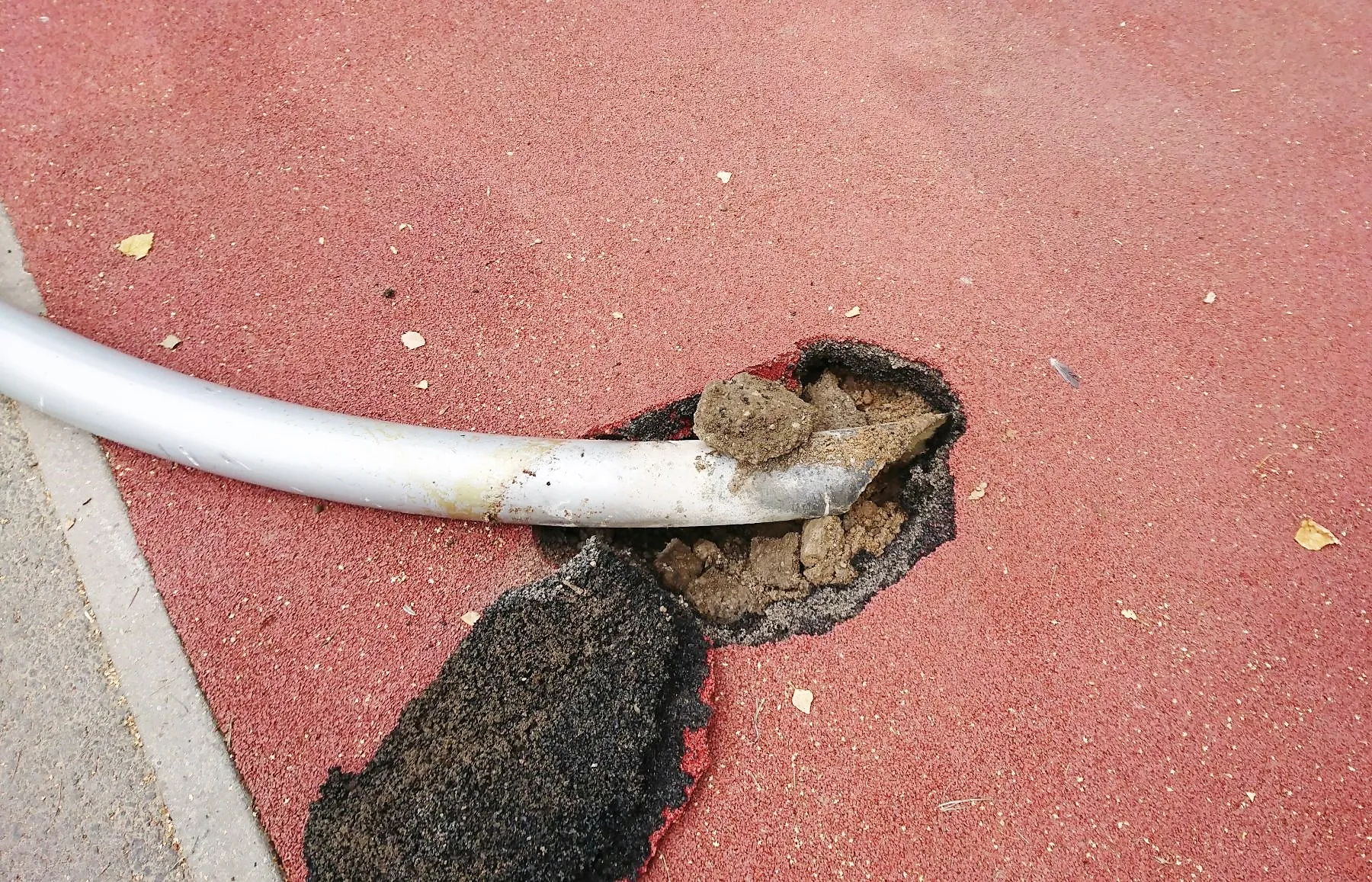 Sūpynės Dainavos parke