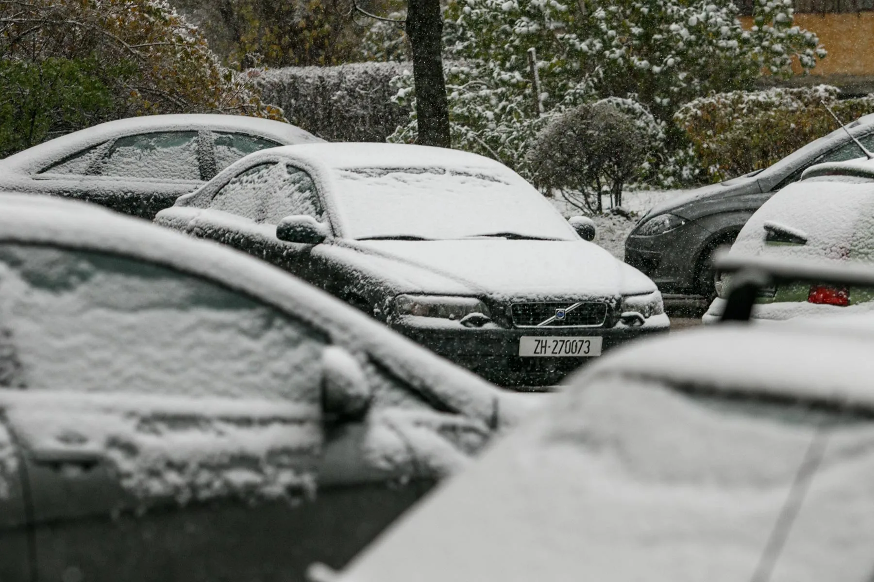 Žiema, sniegas, eismas žiemą, plikledis