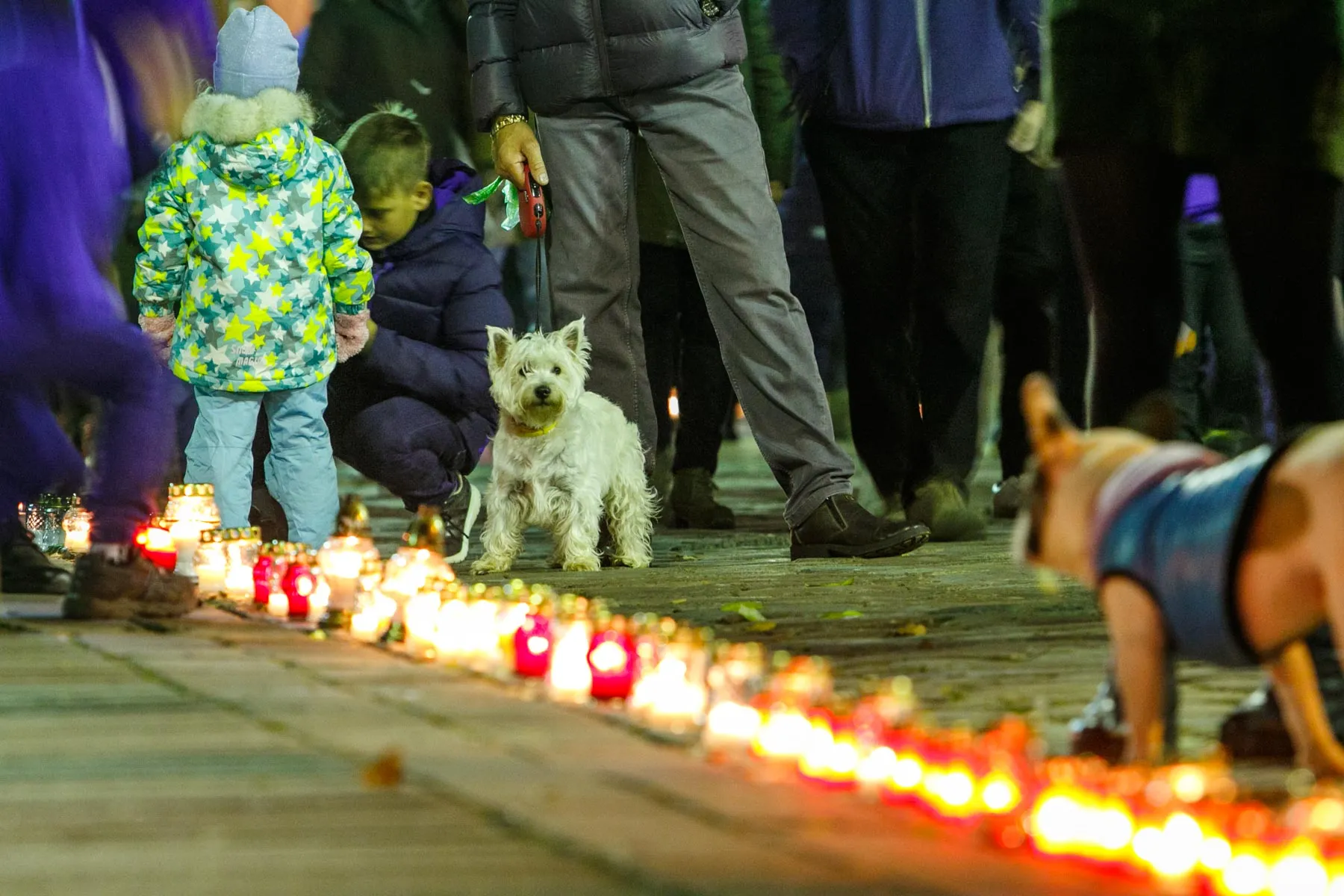 17-tą kartą Kaune surengta „Sielų upė“