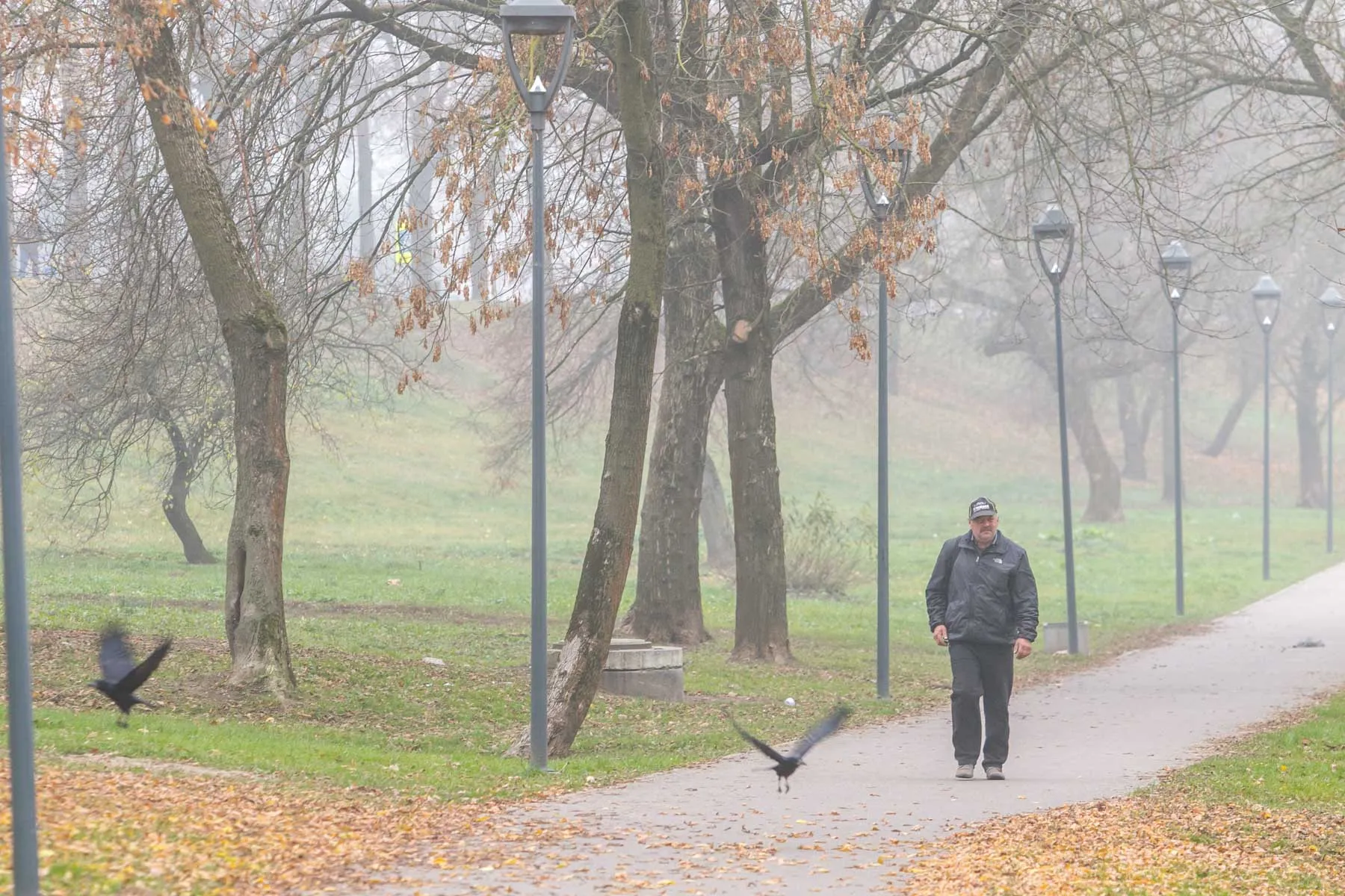 Kauną uždengė rūkas