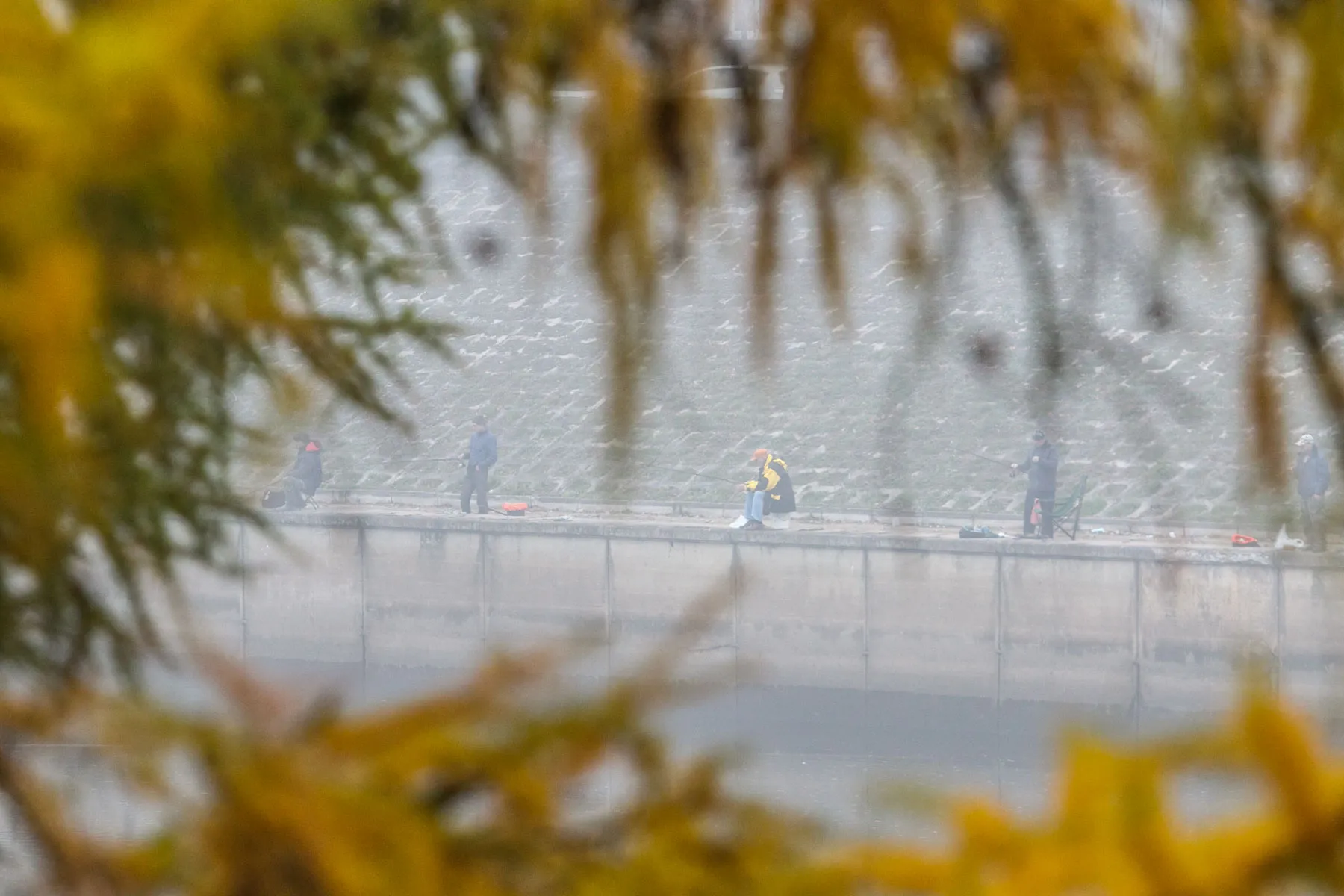 Asociatyvi / R. Tenio nuotr.