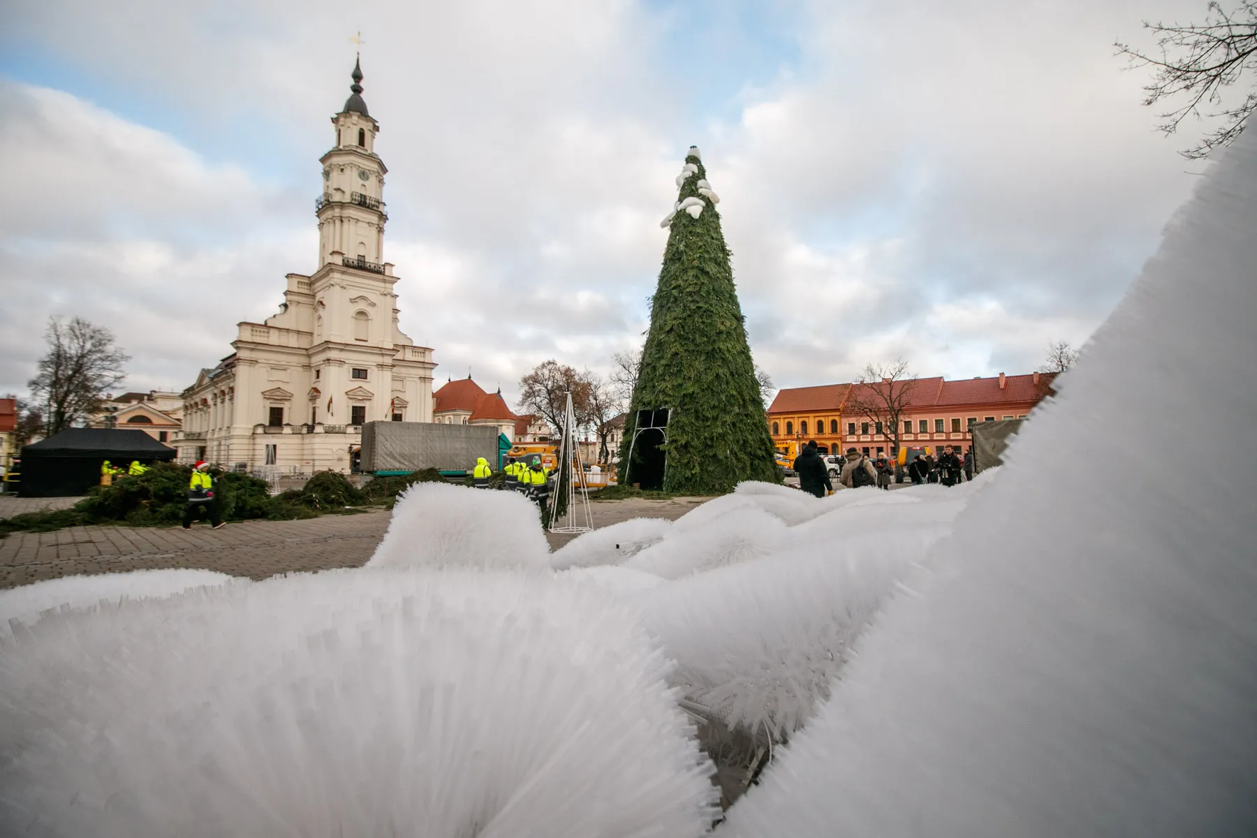 Rotušės aikštėje kyla Kauno kalėdinė eglutė