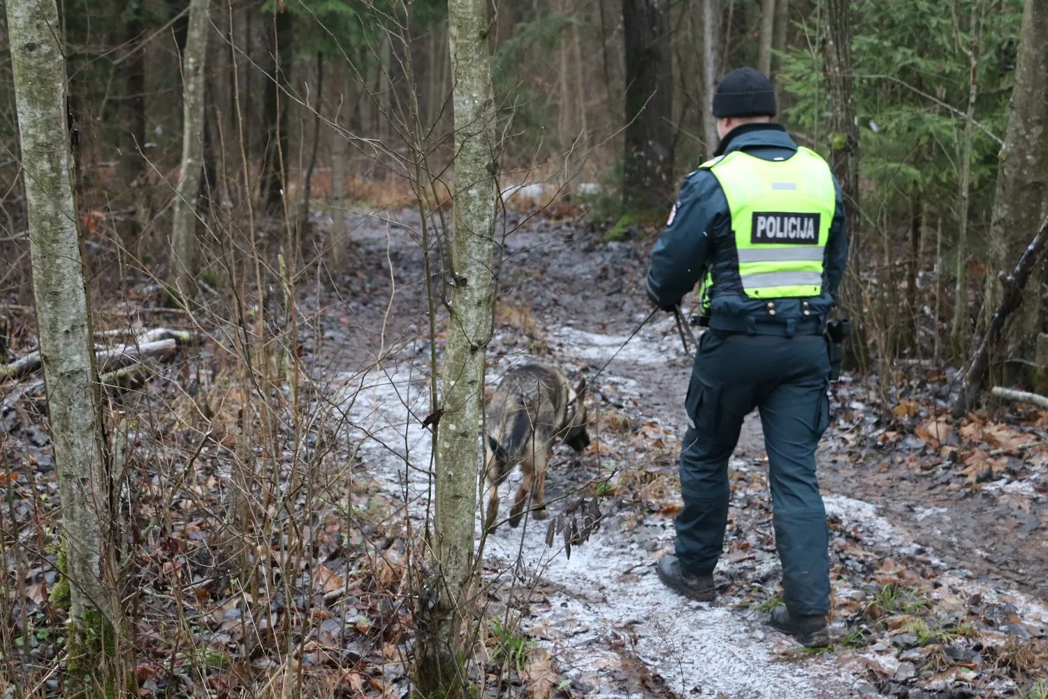 Įtariamųjų vagyste paieška