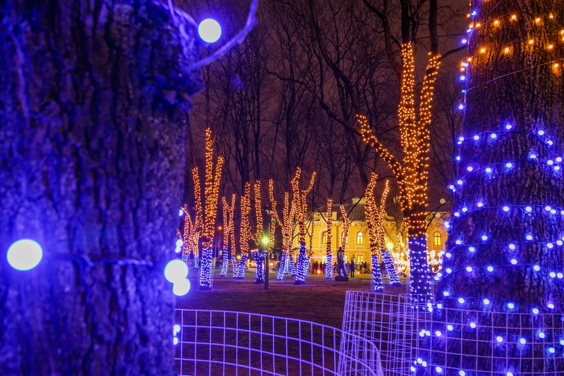 Istorinės Prezidentūros kiemelyje sužibo „Atsiminimų sodas“