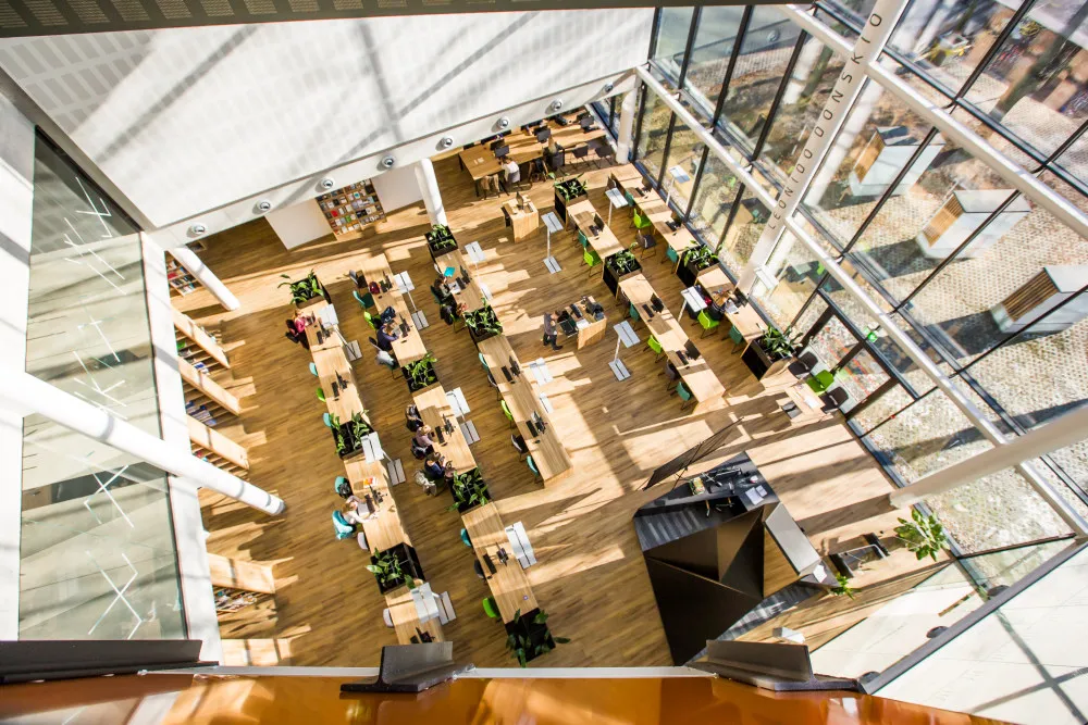 Vytauto Did=iojo universitetas