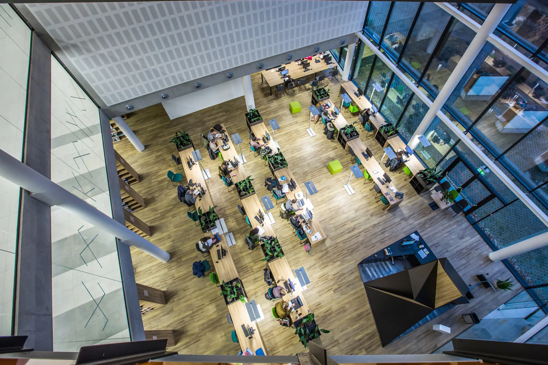 Vytauto Didžiojo universitetas