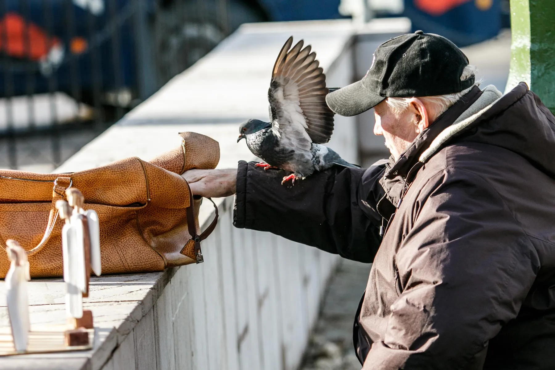 Pavasariškas oras Kaune