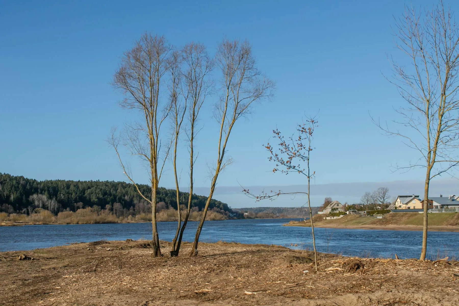 Nemuno ir Nevėžio santaka
