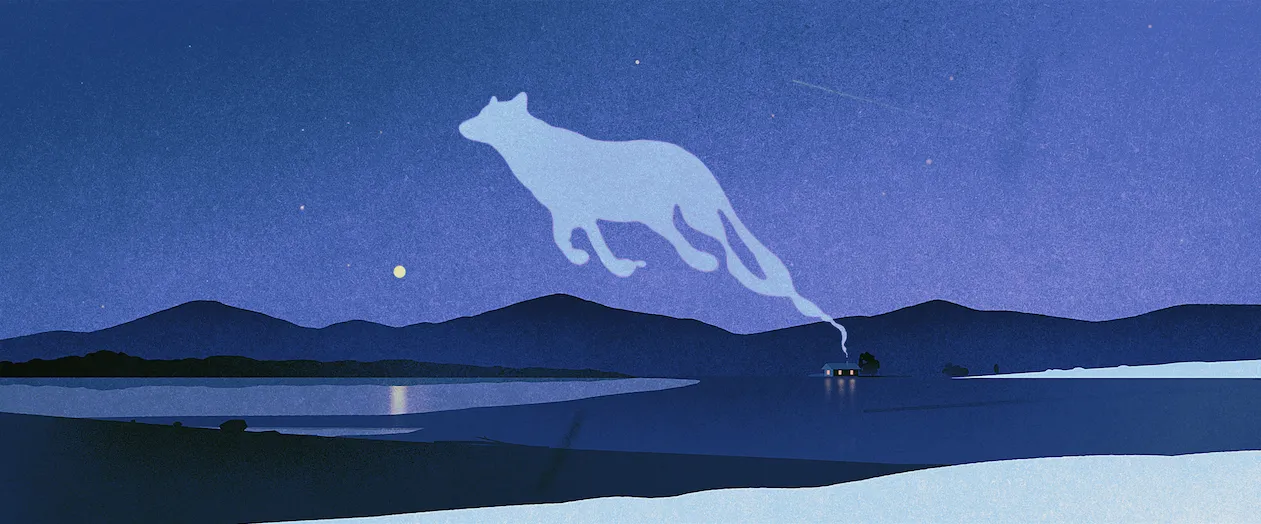 Karolio Strautnieko iliustracija  (LT)