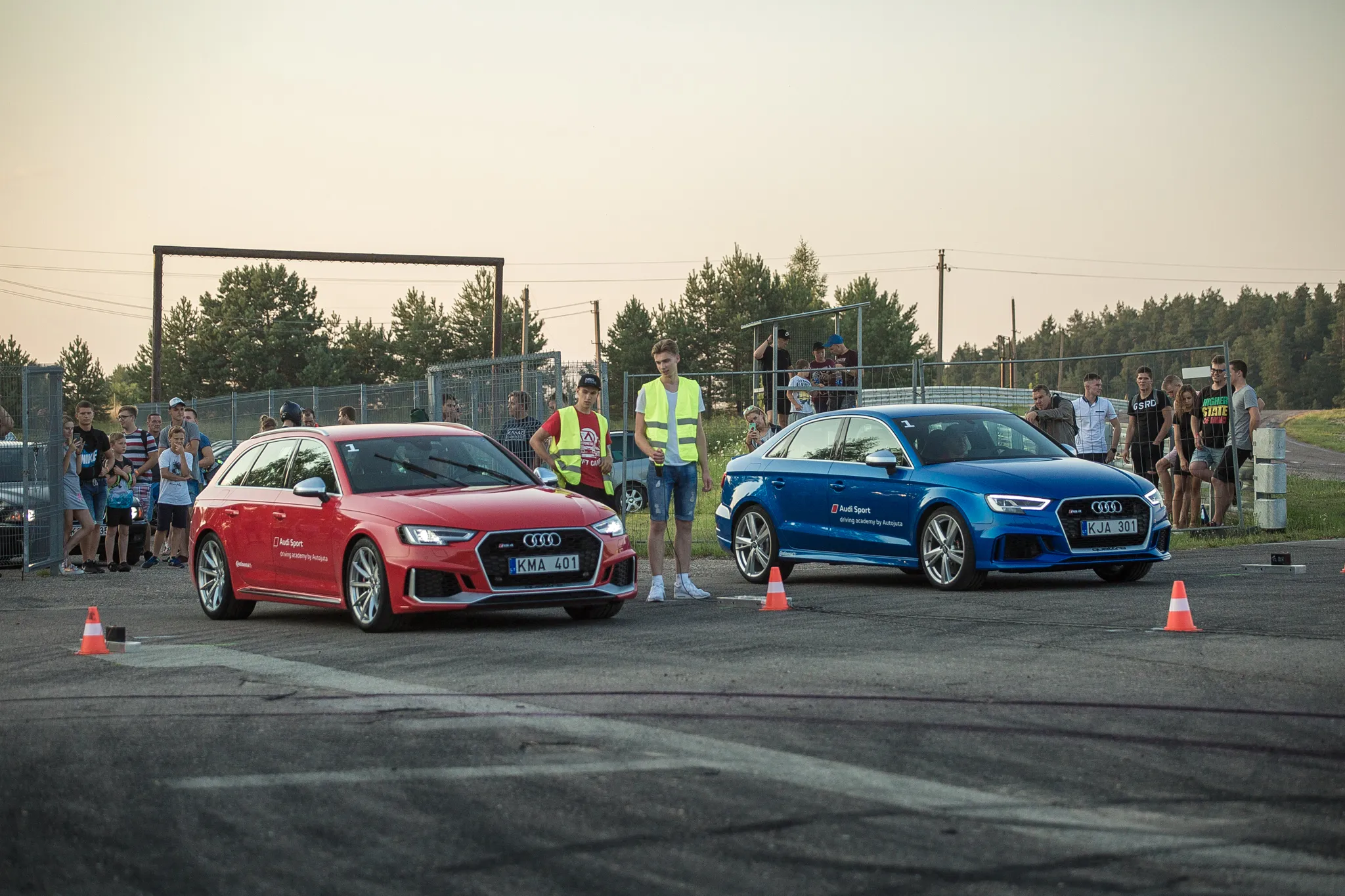 nemuno ziedas - pagrindine