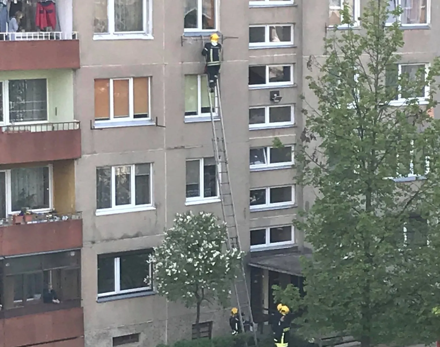 Ugniagesiai Eiguliuose