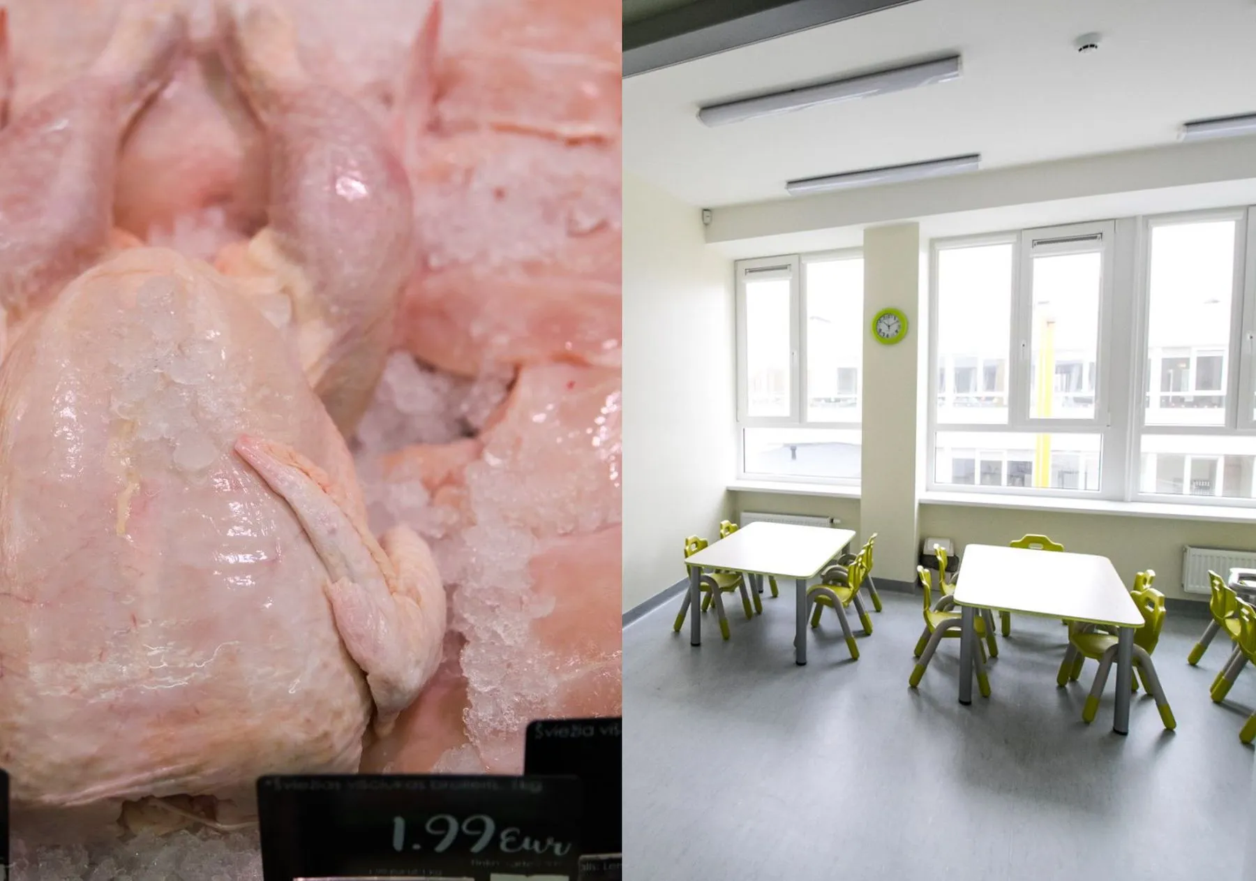 Užkrėsta vištiena, Kauno darželiai, salmoneliozė