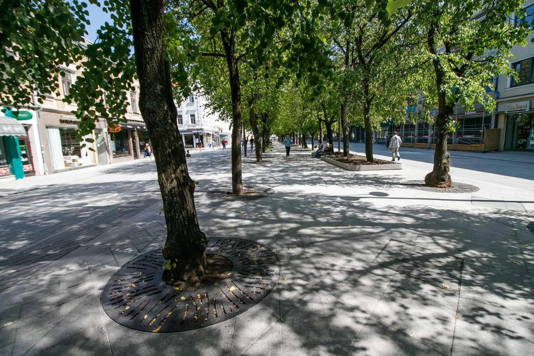 Laisvės alėjos rekonstrukcija