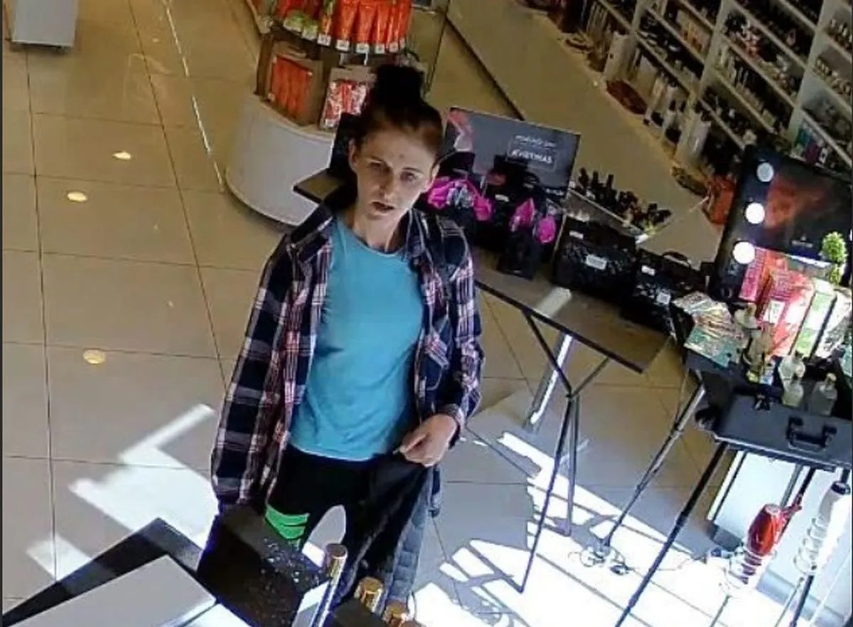 Dėl vagystės ieškomi asmenys