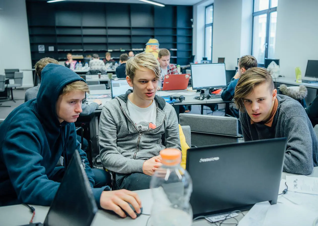 Mykolas Krupauskas, programavimas, praktika