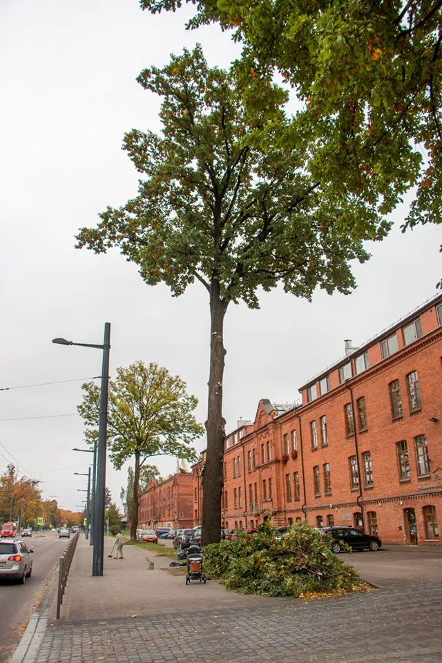 72560924_2730150003682832_4762461038626996224_n