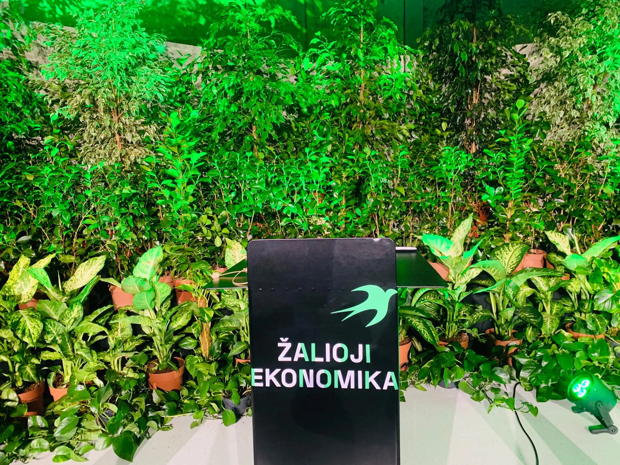 Žalioji ekonomika/ augalai