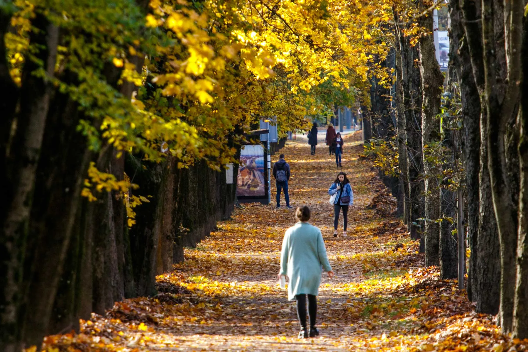 Vasariškas ruduo Kaune