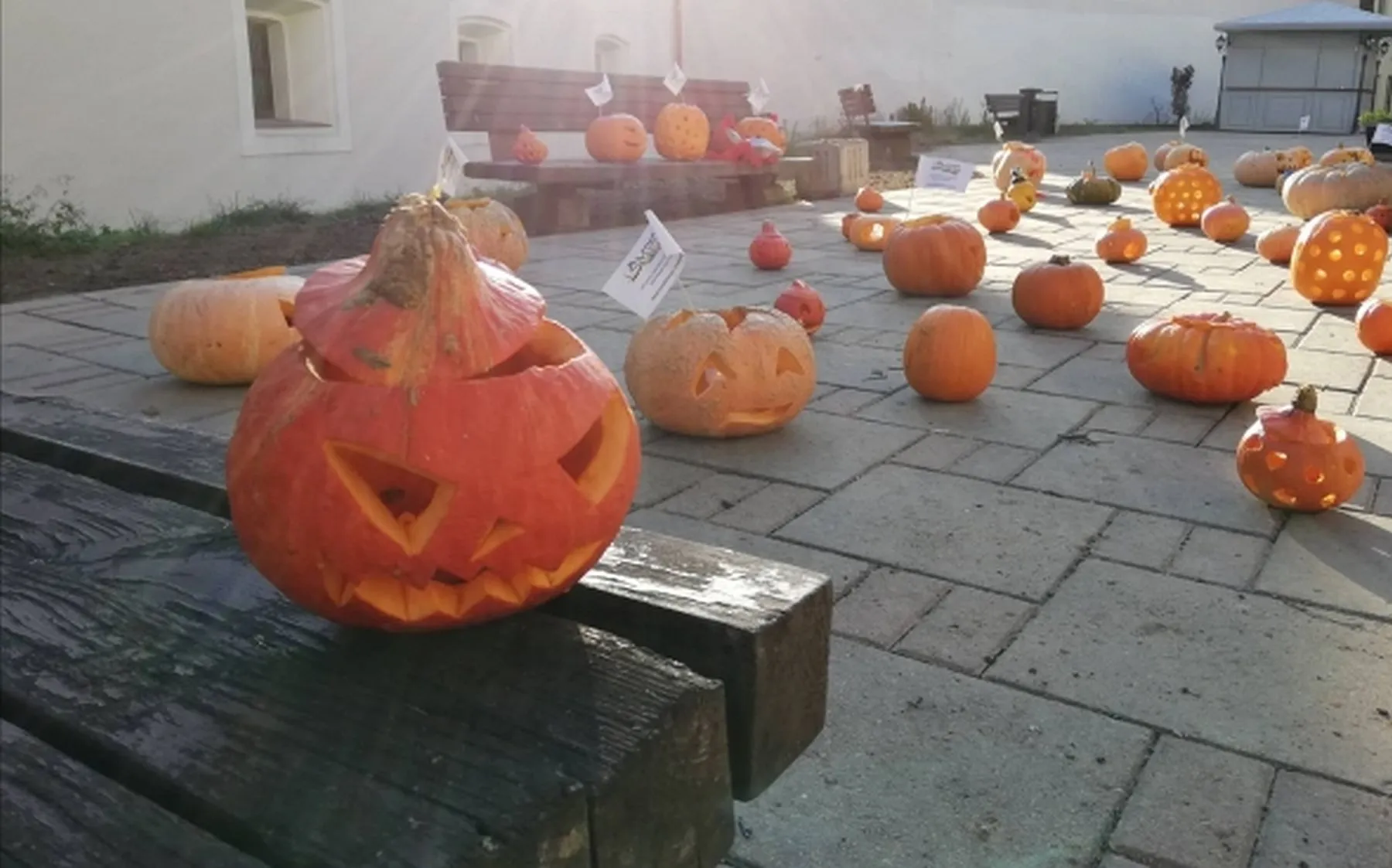 Mokytoju streikas / moliugai