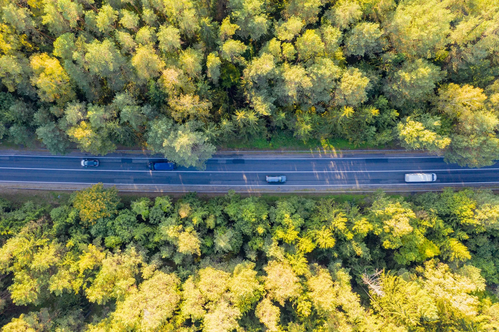 Kelias Kaunas-Prienai-Alytus