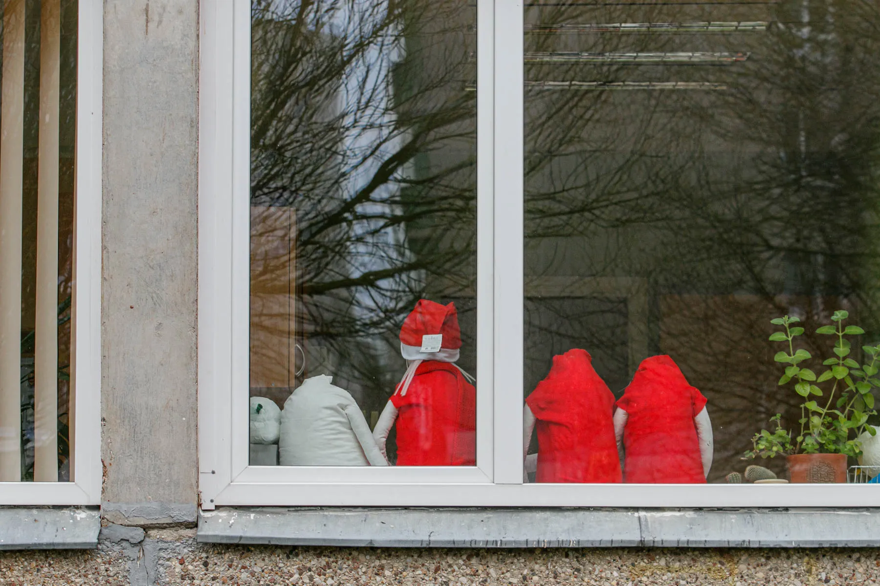 Tado Ivanausko progimnazija