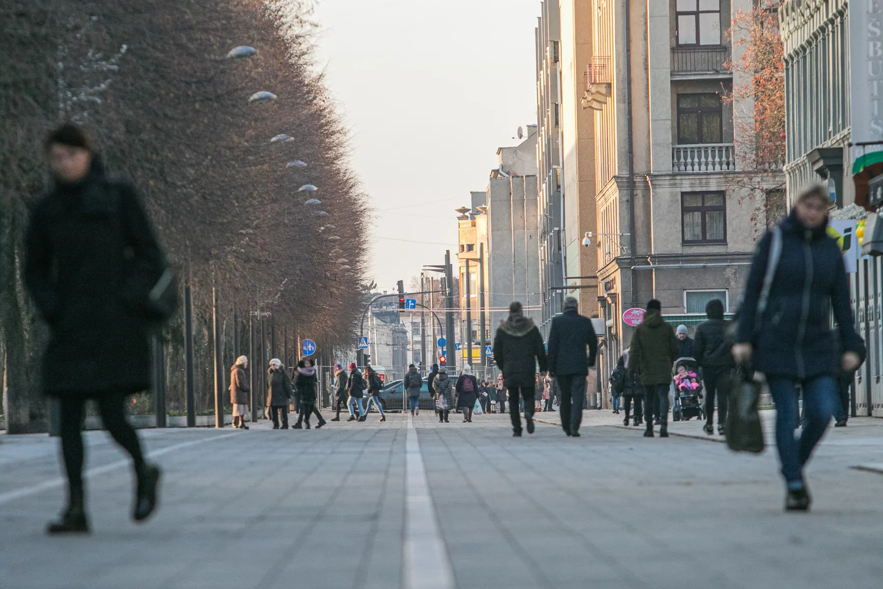 Rekonstruojama Laisvės alėja