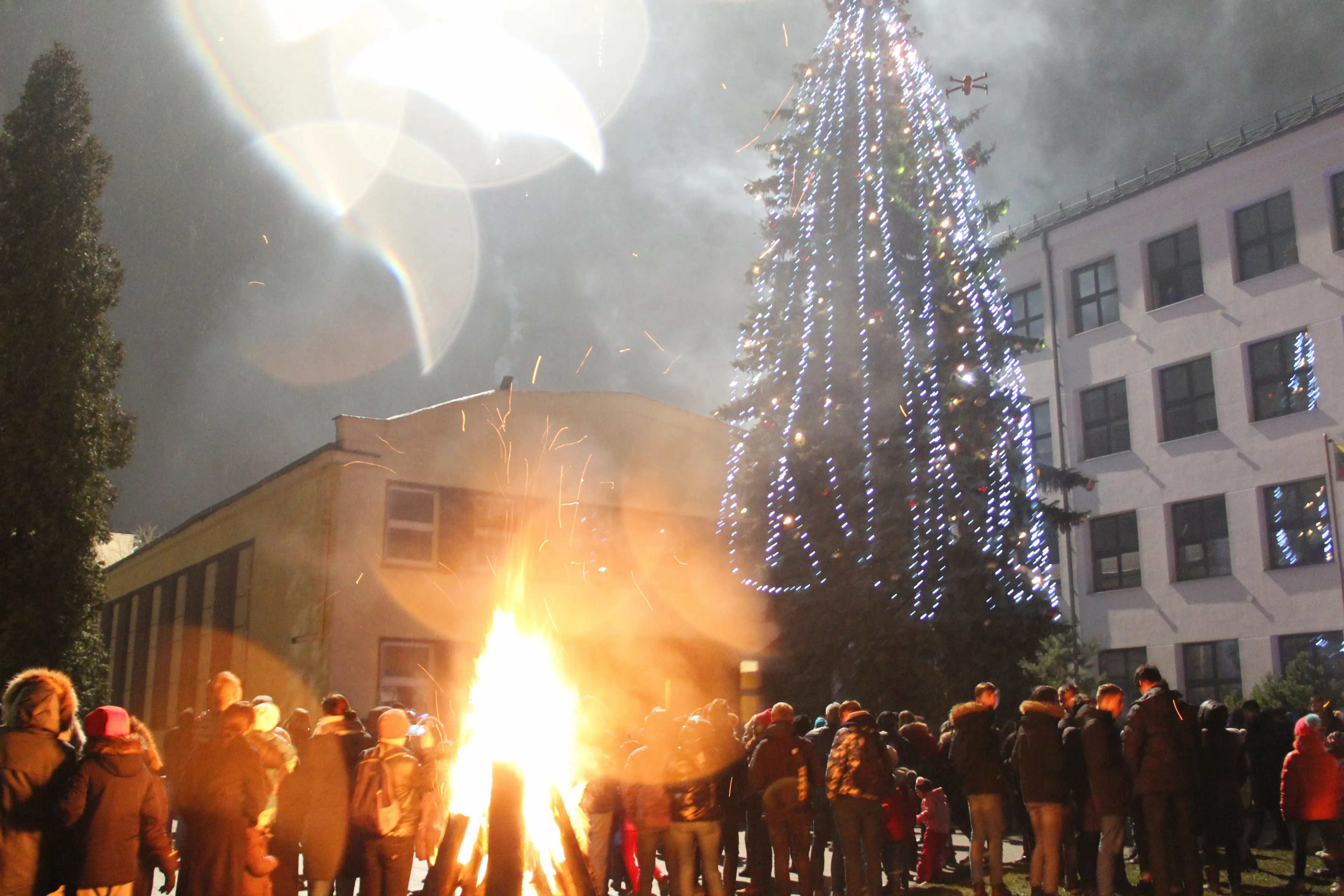 zaliakalnis pagrindine