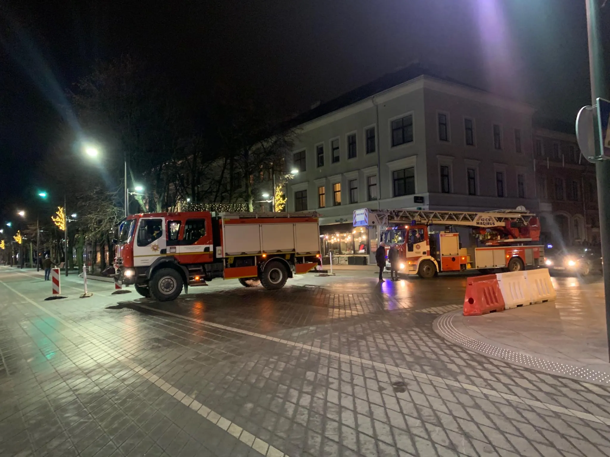 Gaisrinė Laisvės al.