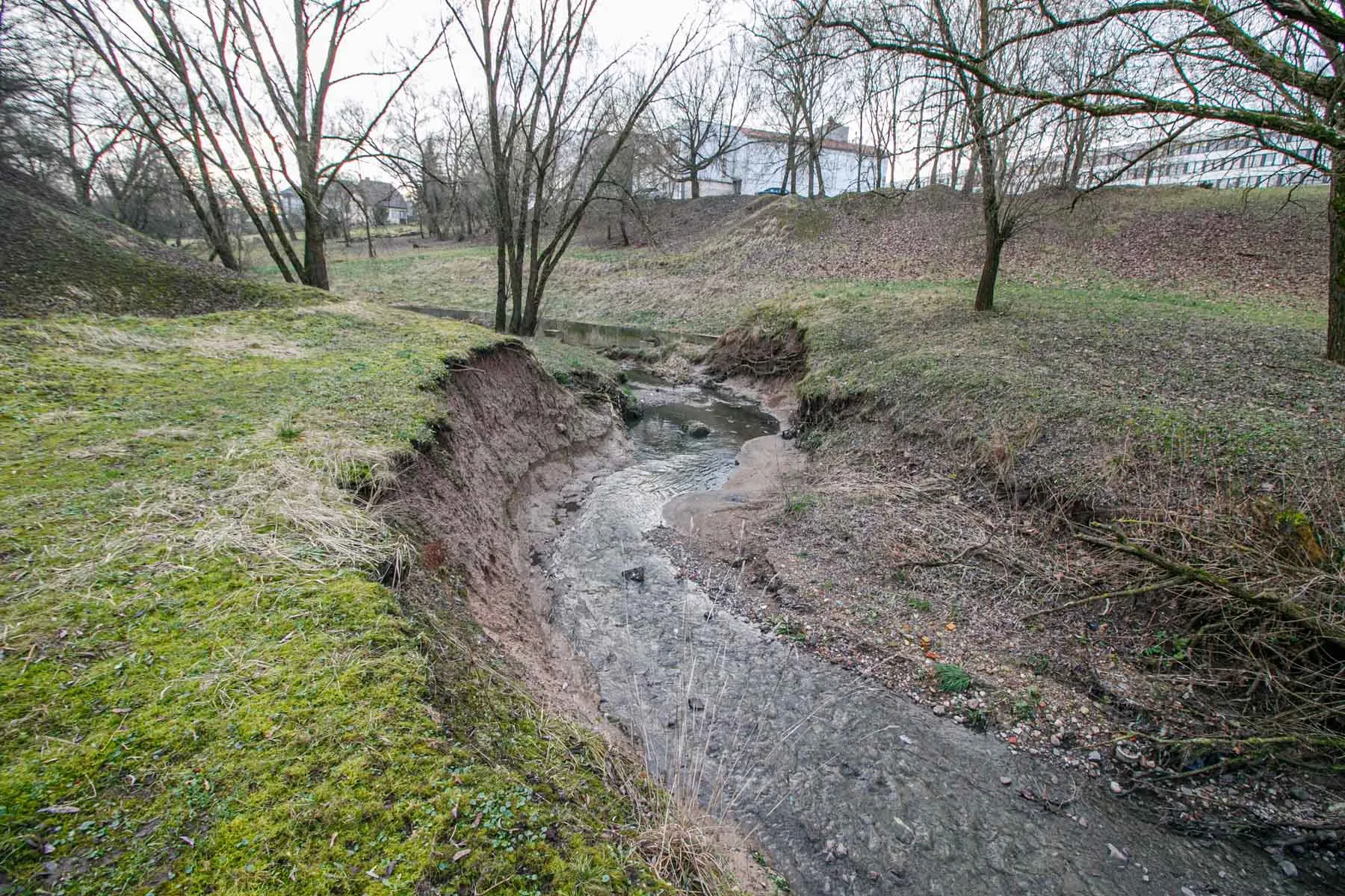 Gričiupio upelis to paties pavadinimo parke