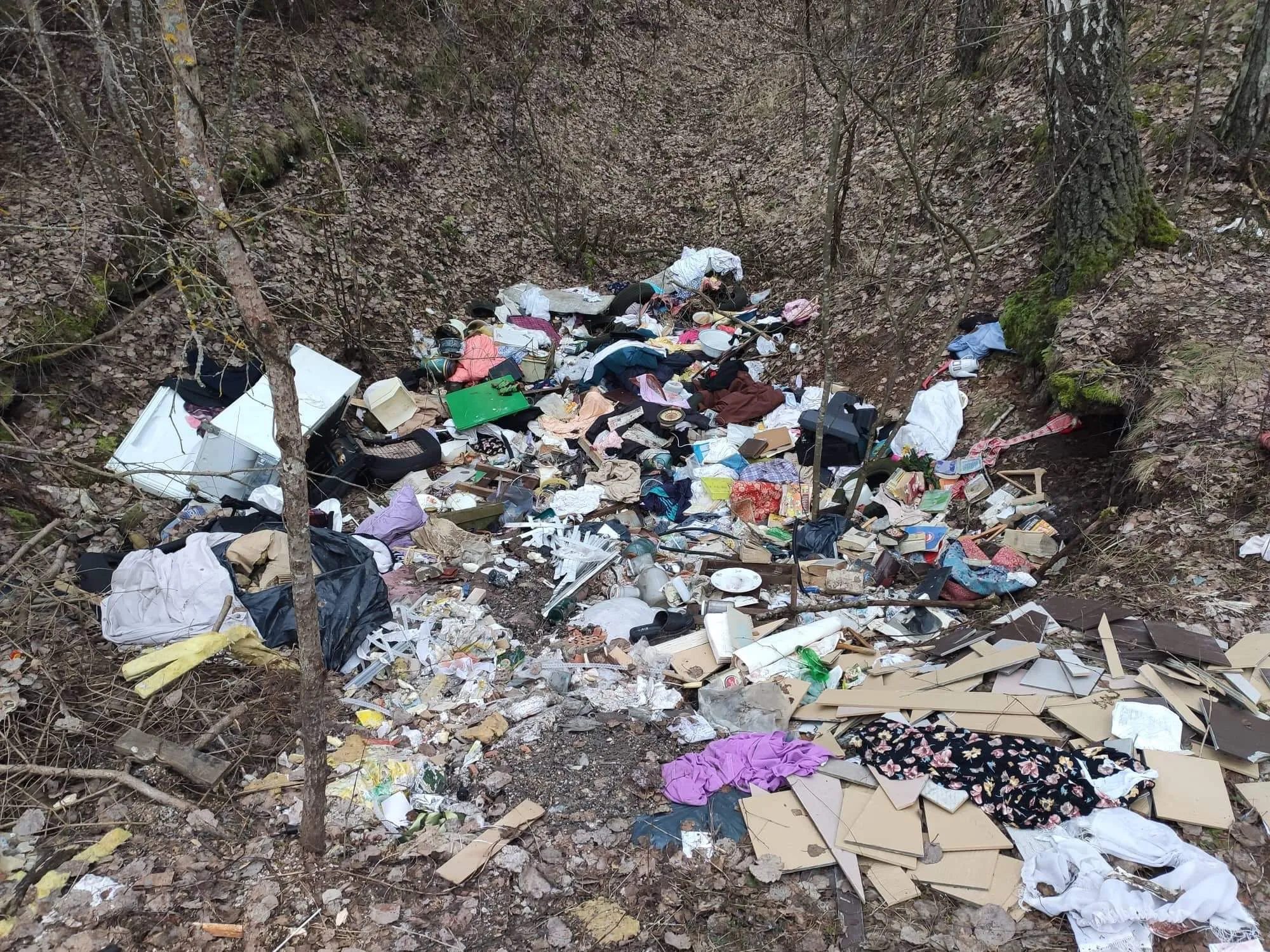 Šiukšlės Kamšos draustinyje