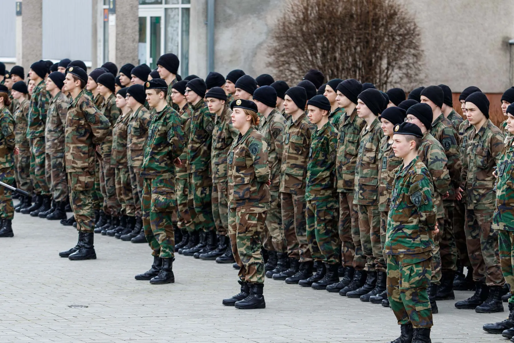 Asociatyvi / Generolo Povilo Plechavičiaus kadetų licėjus / R. Tenio nuotr.