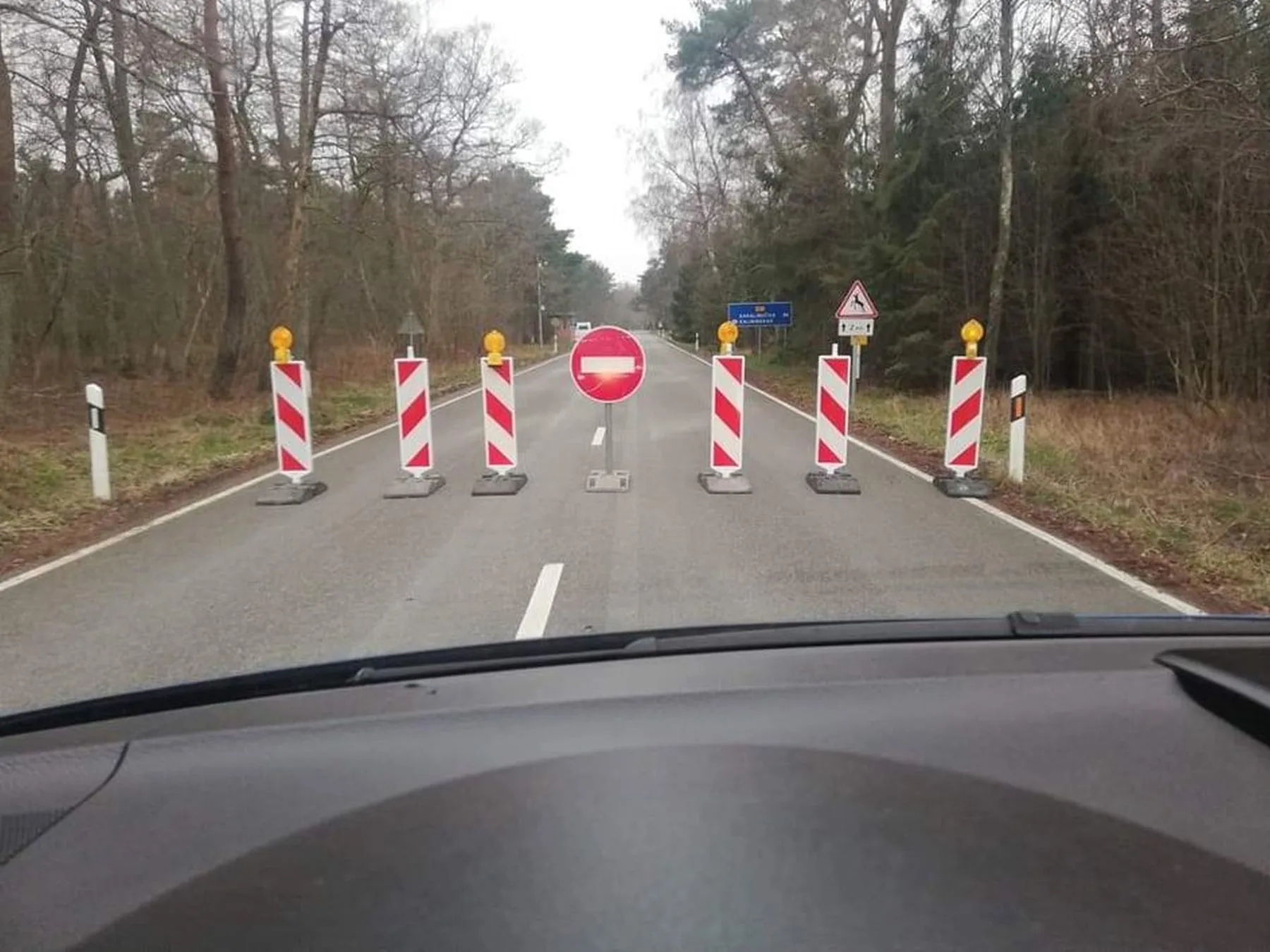 Nidos siena su Rusija