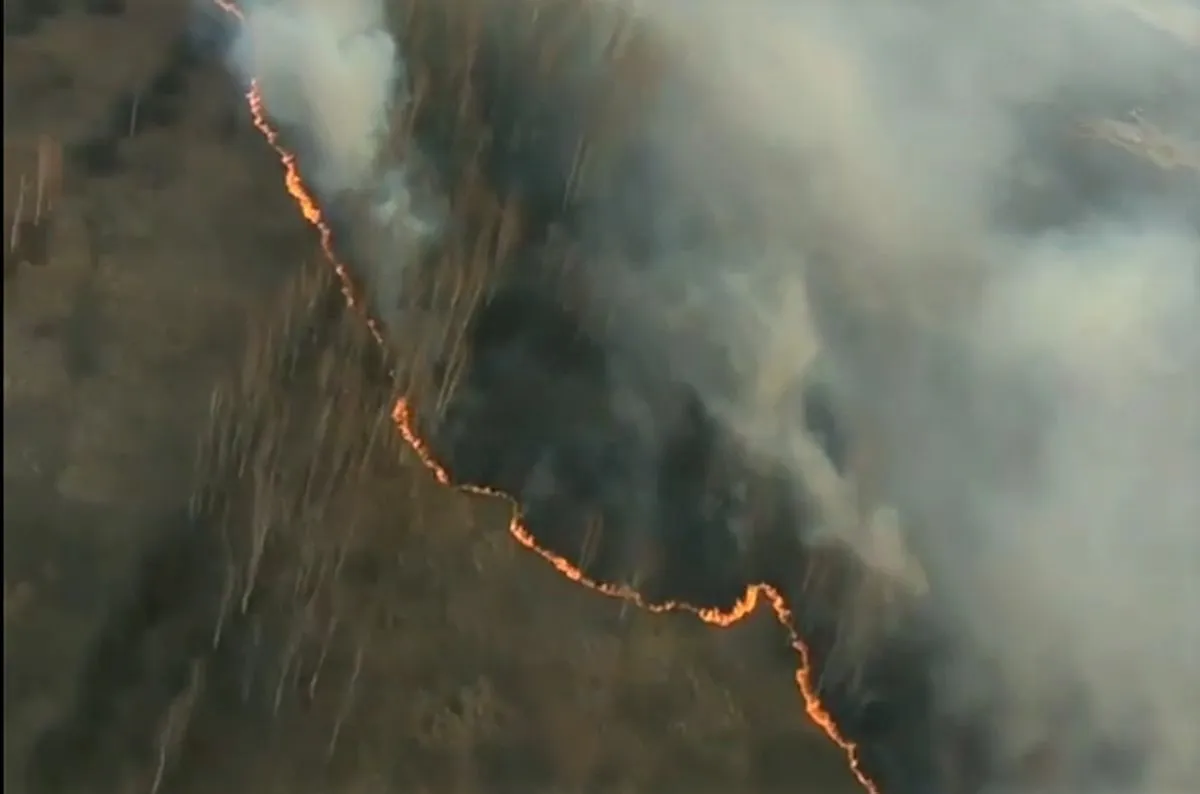 Miško gaisras Černobylyje