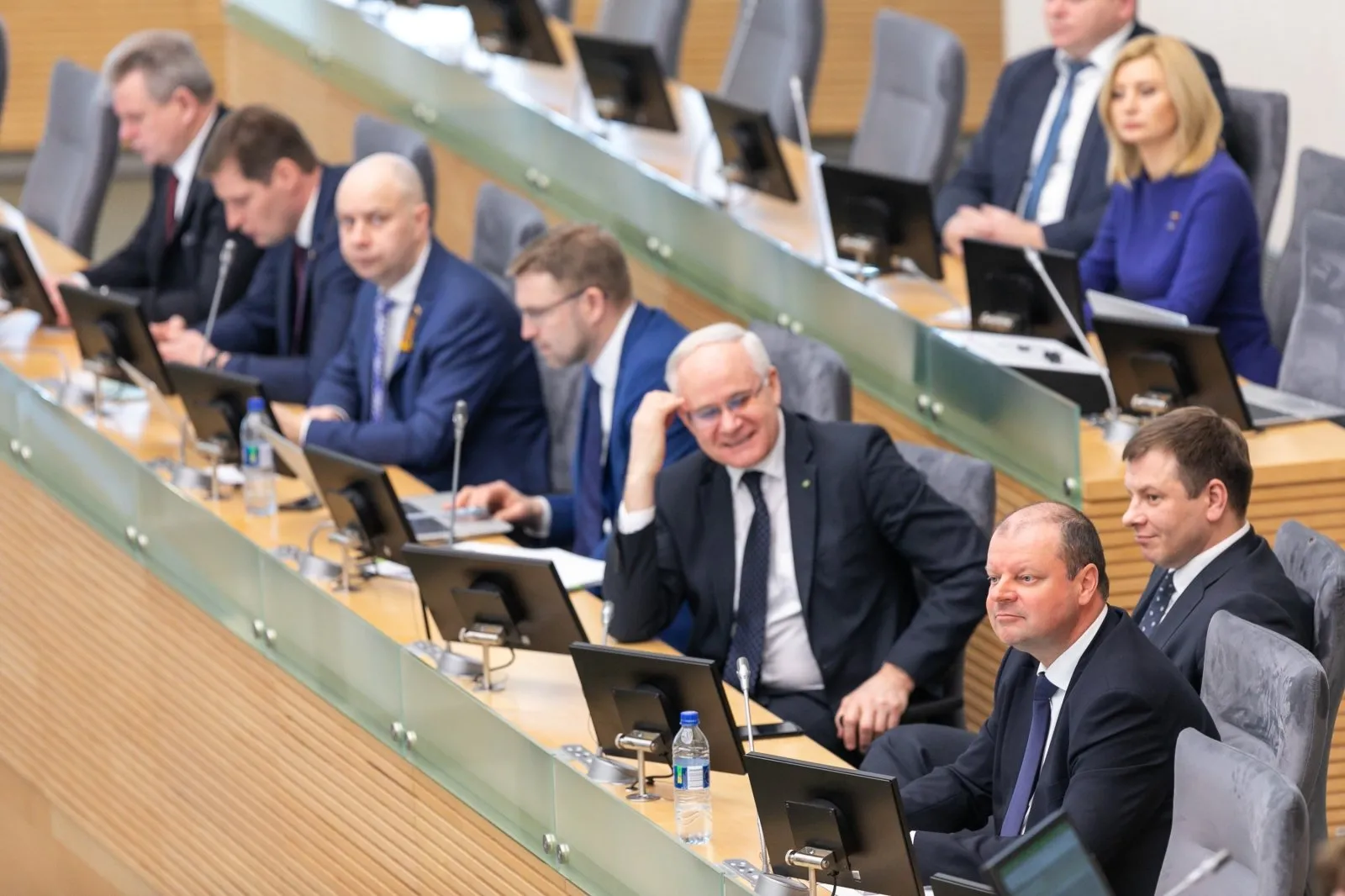 Seimas, „valstiečiai“, valdantieji