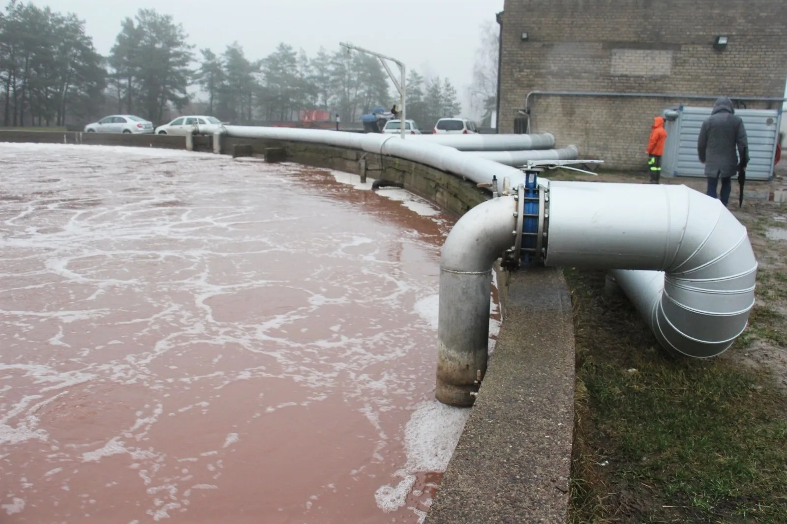 „Grigeo Klaipėda“, tarša