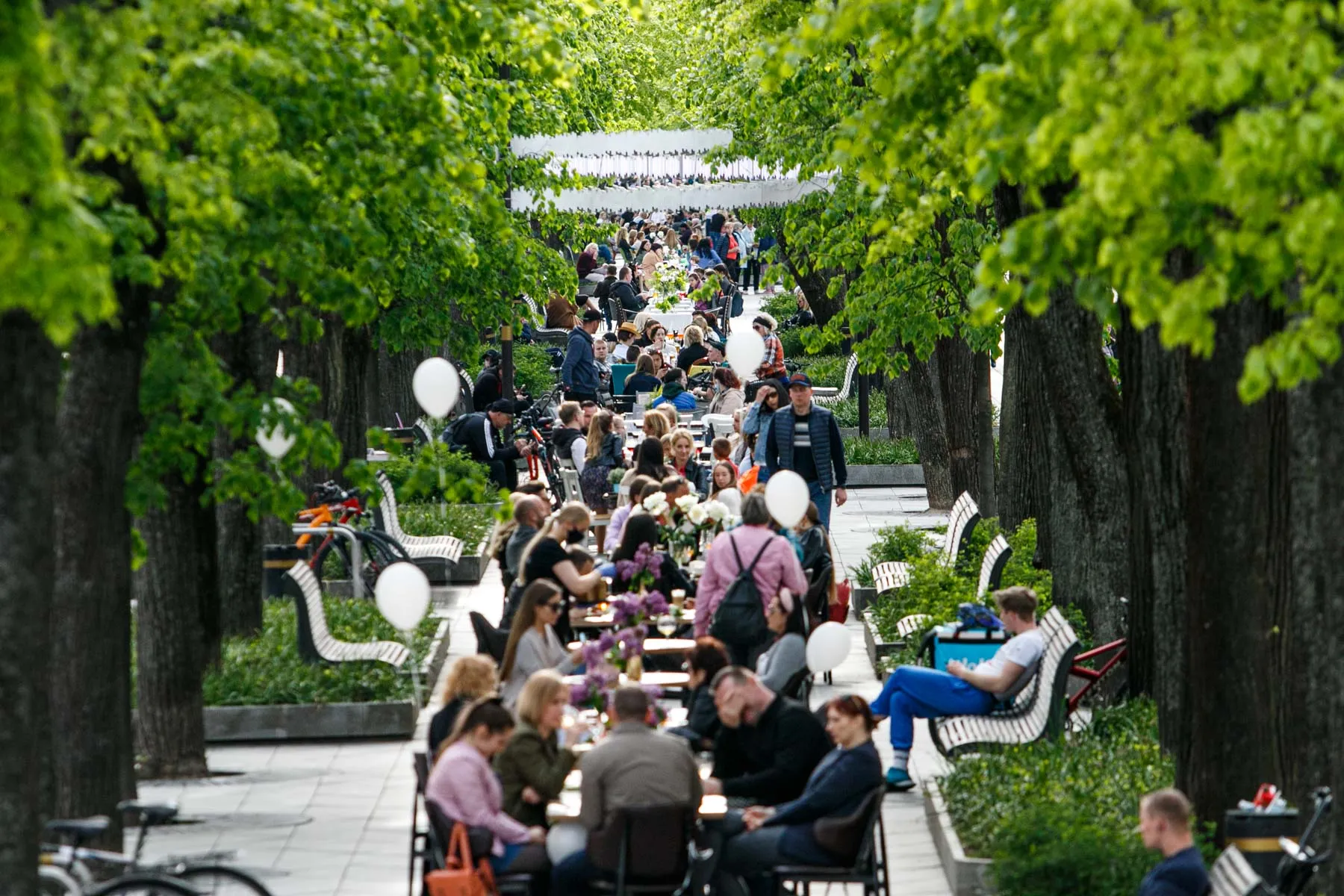 Kauno gimtadienis Laisvės alėjoje