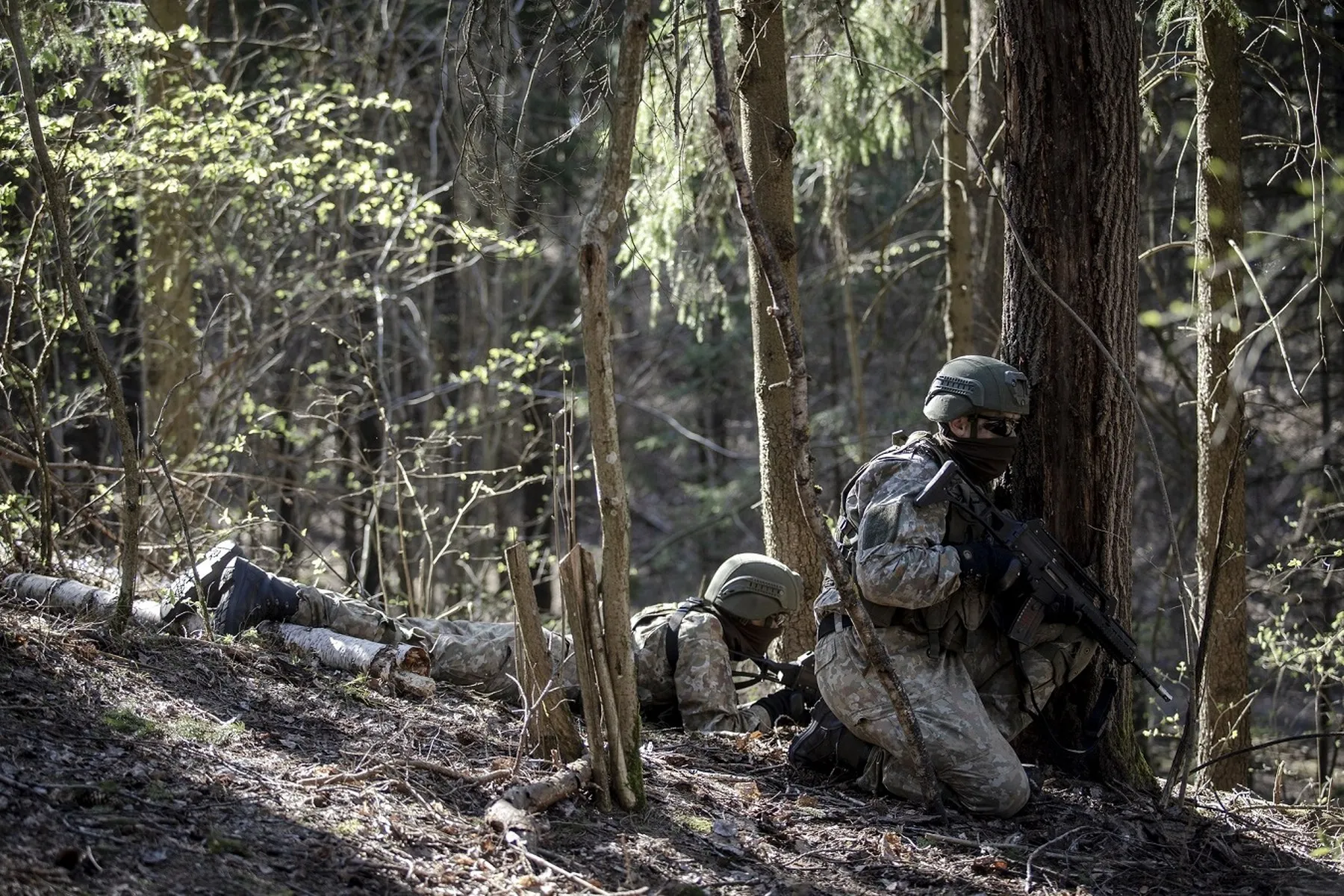 Lietuvos kariuomenė, kariai, šauktiniai