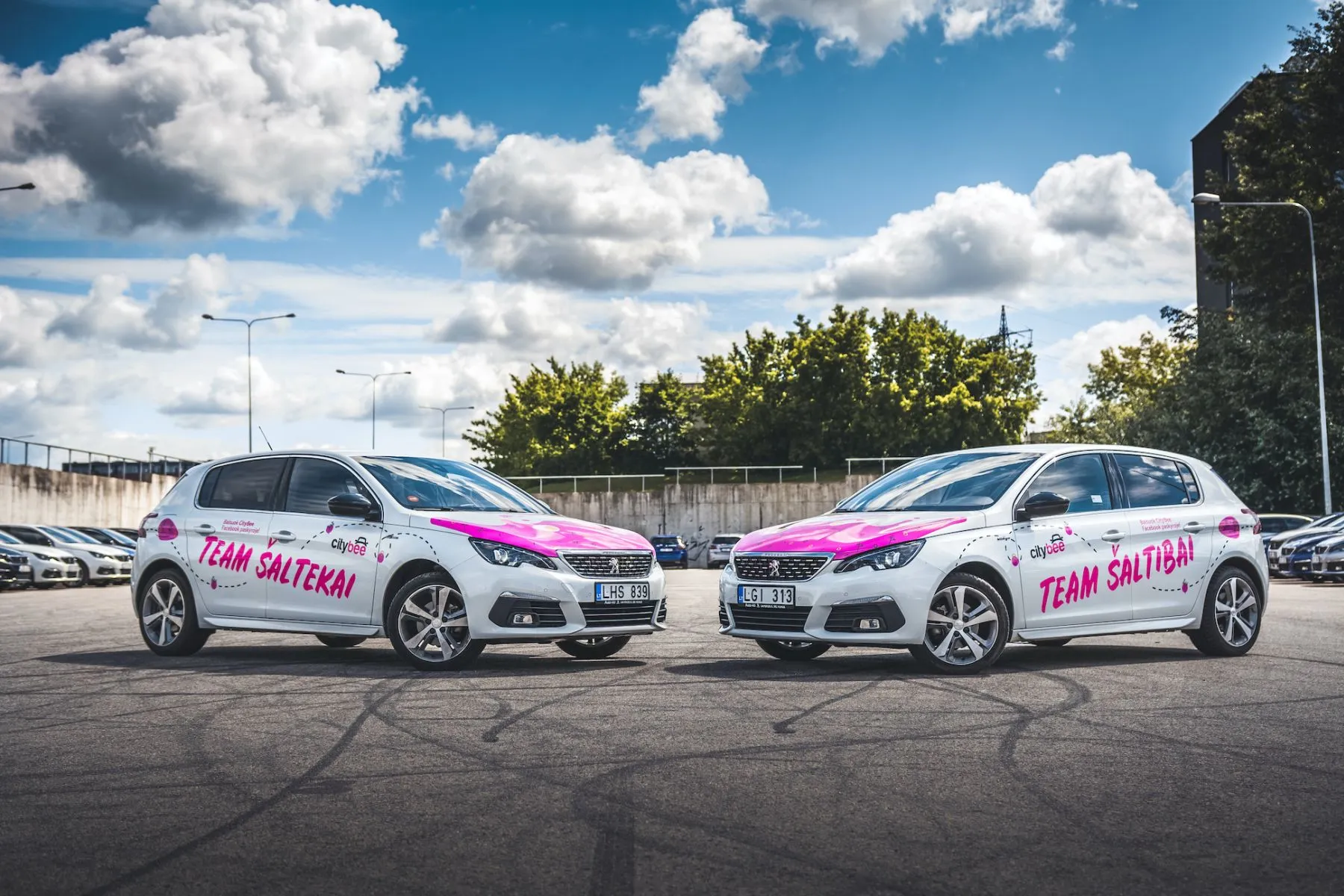 „CityBee“ automobiliai nusidažė šaltibarščių spalvomis