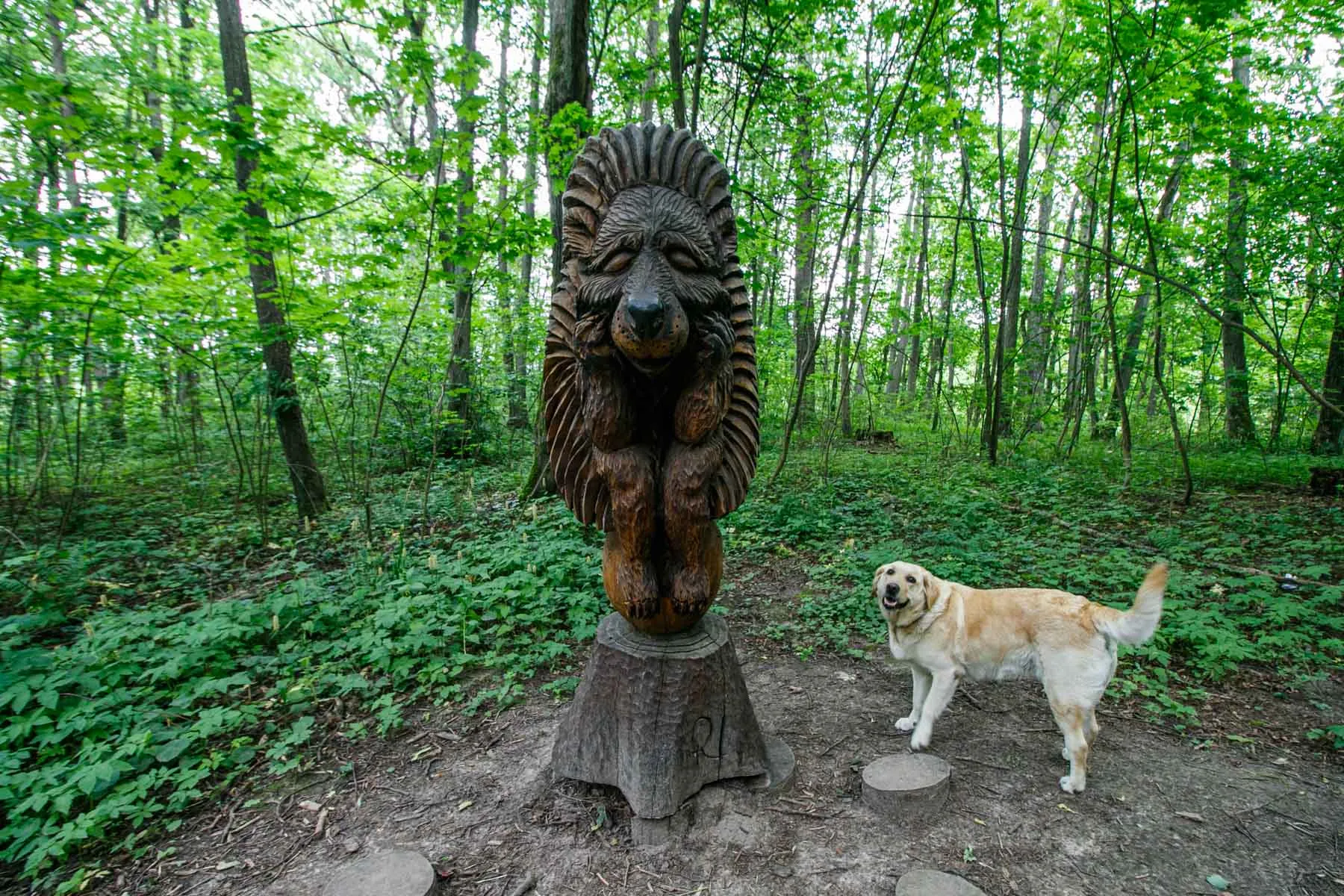 Skulptūros Kamšos draustinyje